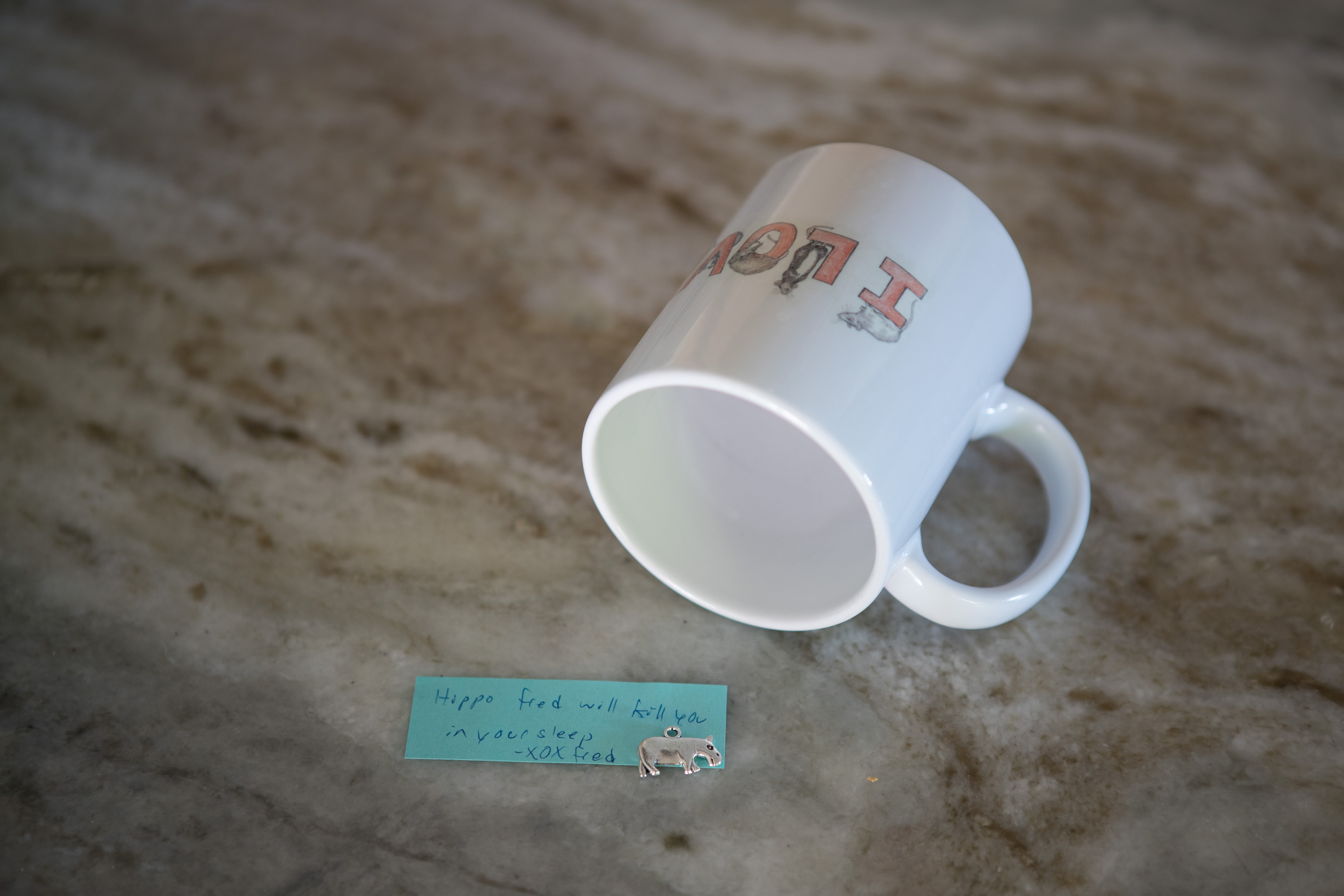 Canon Canon EOS-1D X Mark II EF24-70mm f/2.8L USM 70 mm 1/10 sec at f / 2.8 ISO 400