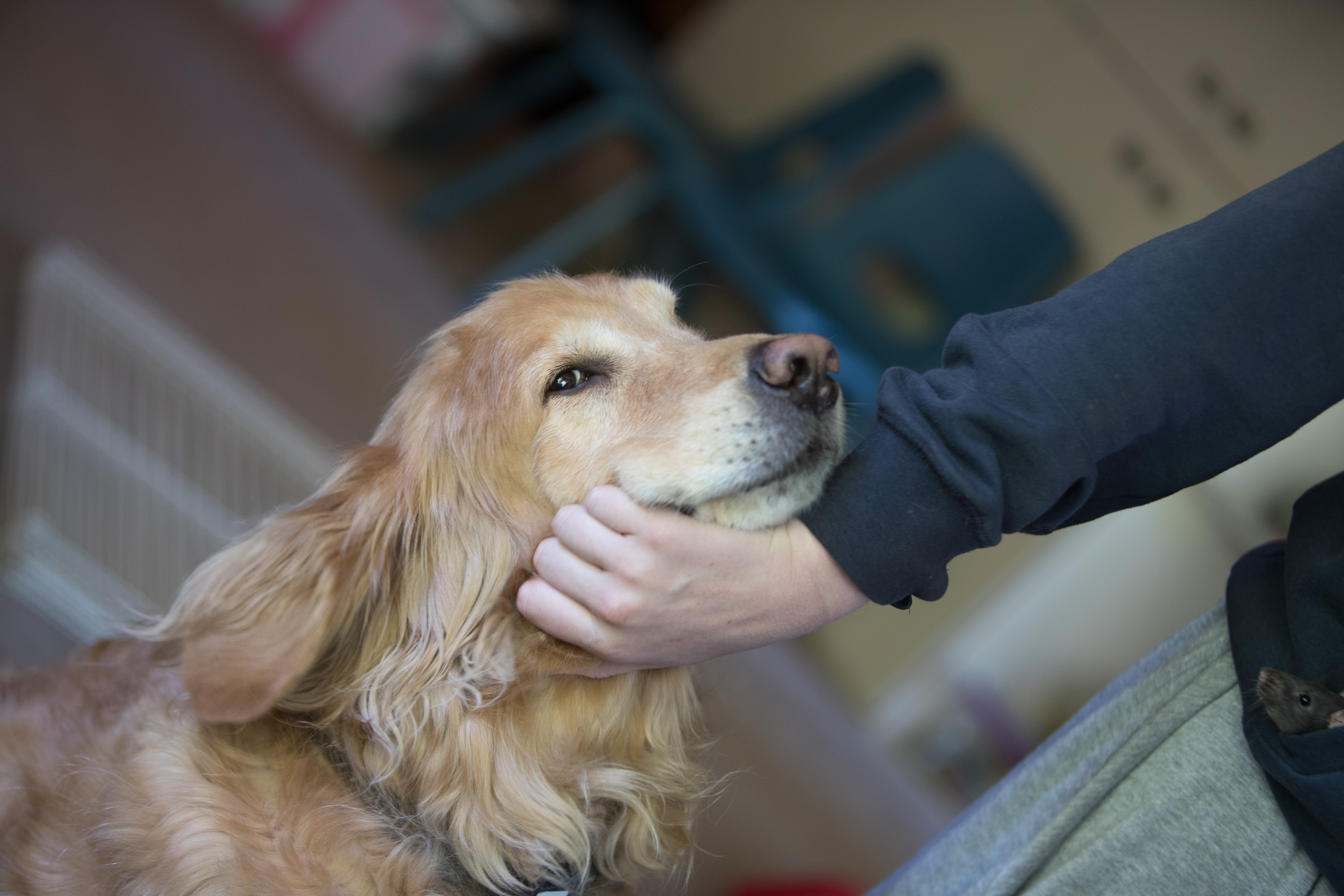 Canon Canon EOS-1D X Mark II EF70-200mm f/2.8L IS USM 75 mm 1/60 sec at f / 2.8 ISO 800