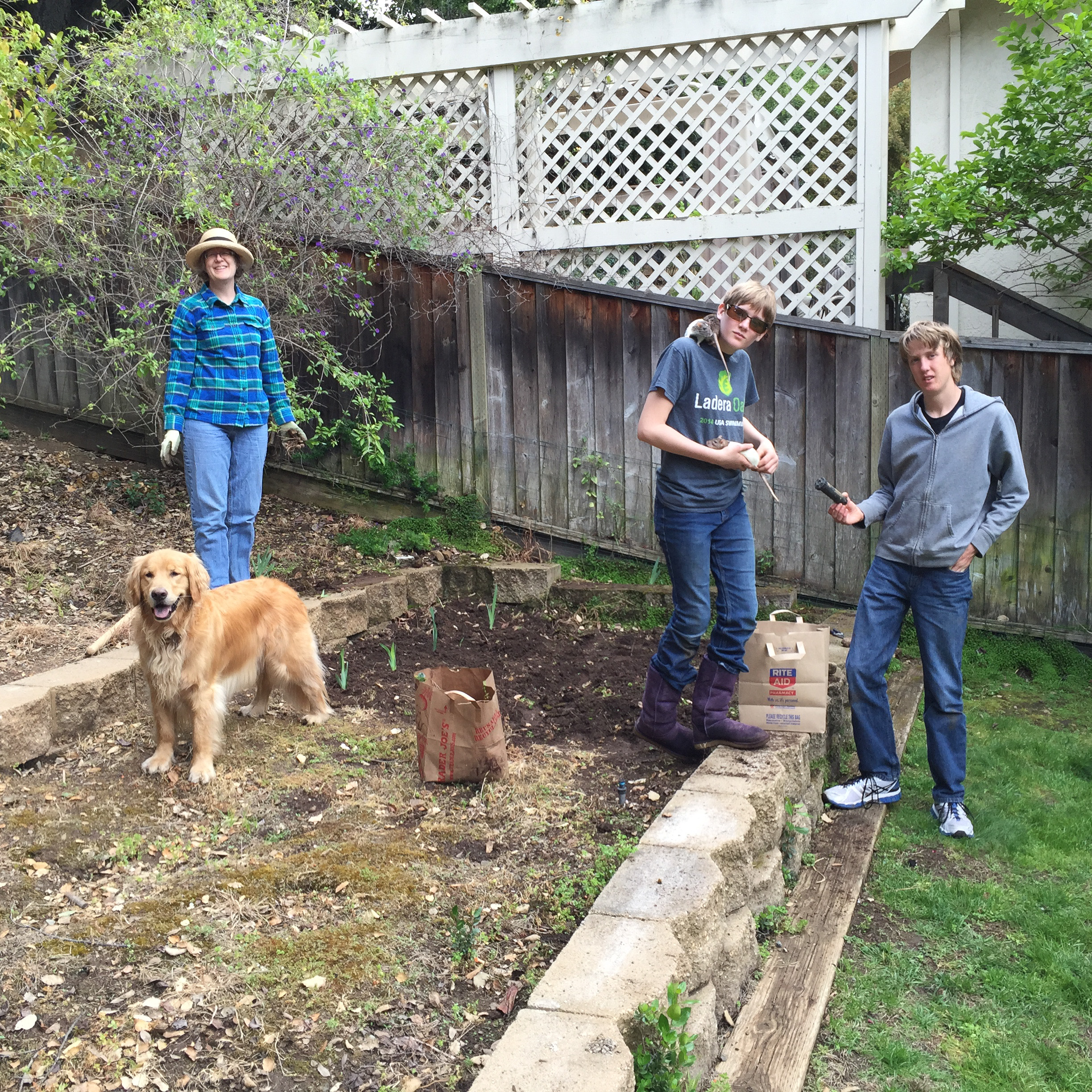 Apple iPhone 6 Plus iPhone 6 Plus back camera 4.15mm f/2.2 1/200 sec at f / 2.2 ISO 32