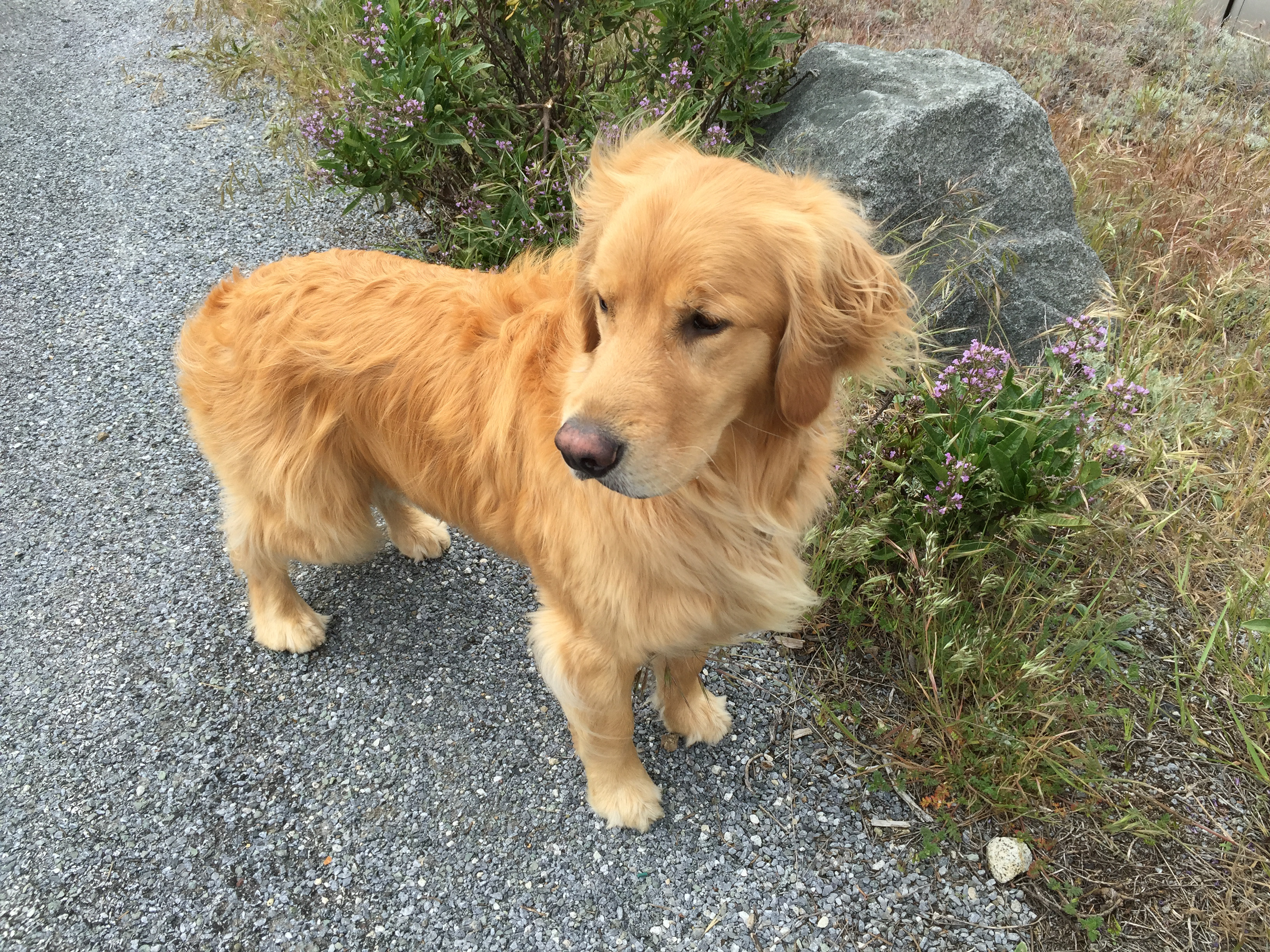 Apple iPhone 6 Plus iPhone 6 Plus back camera 4.15mm f/2.2 1/590 sec at f / 2.2 ISO 32