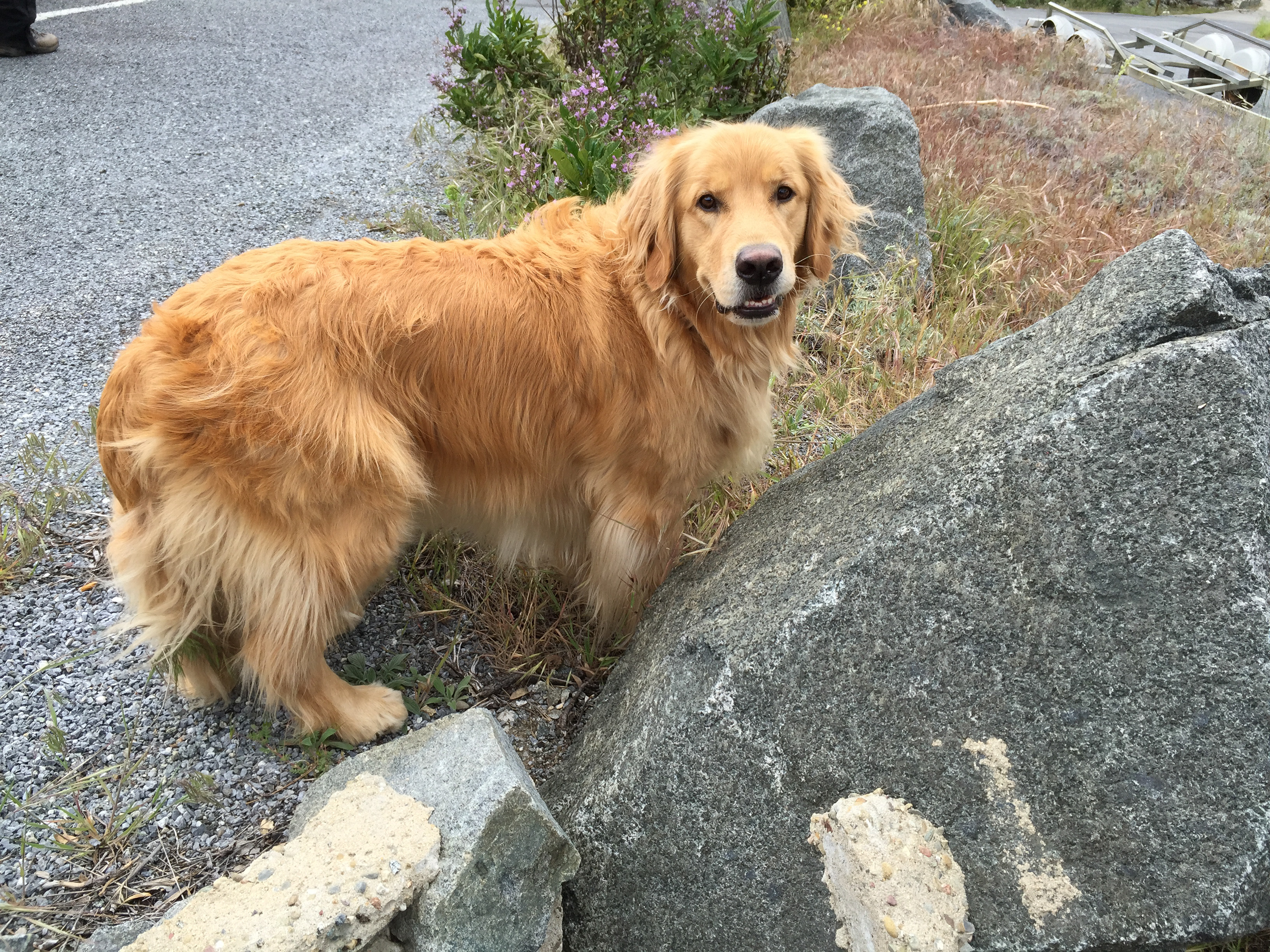 Apple iPhone 6 Plus iPhone 6 Plus back camera 4.15mm f/2.2 1/540 sec at f / 2.2 ISO 32