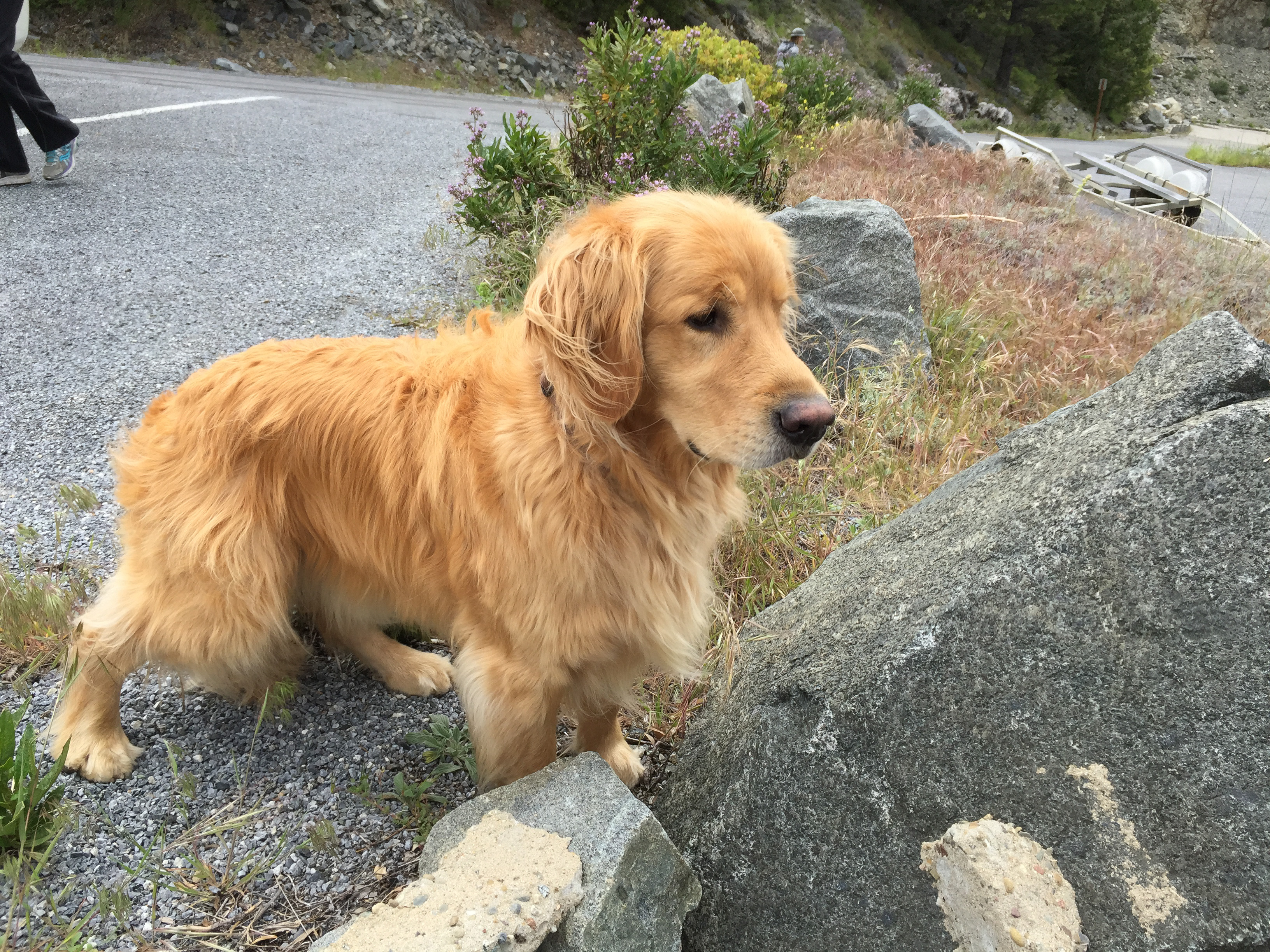 Apple iPhone 6 Plus iPhone 6 Plus back camera 4.15mm f/2.2 1/530 sec at f / 2.2 ISO 32