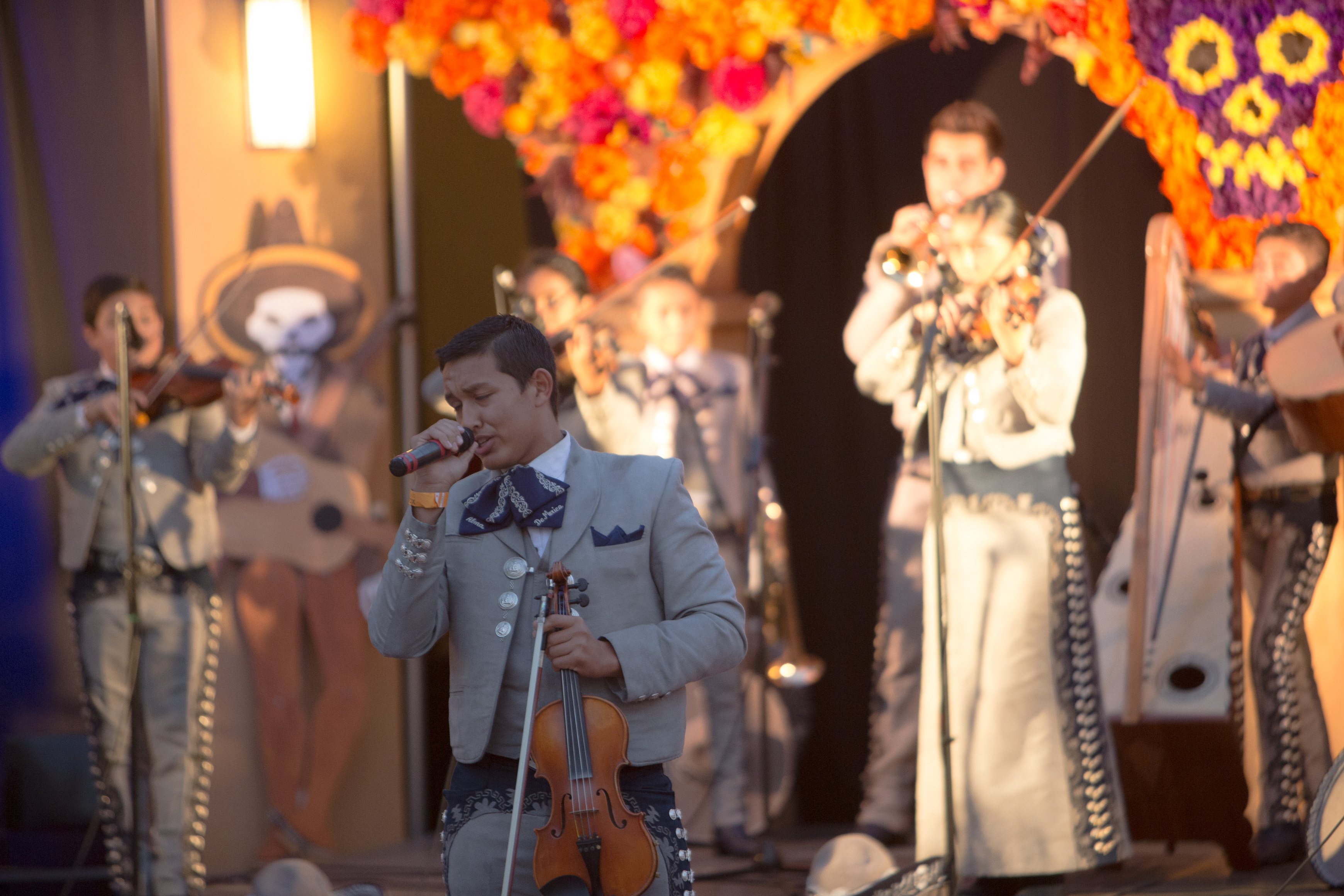 Canon Canon EOS-1D X EF70-200mm f/2.8L IS USM 195 mm 1/160 sec at f / 2.8 ISO 1600