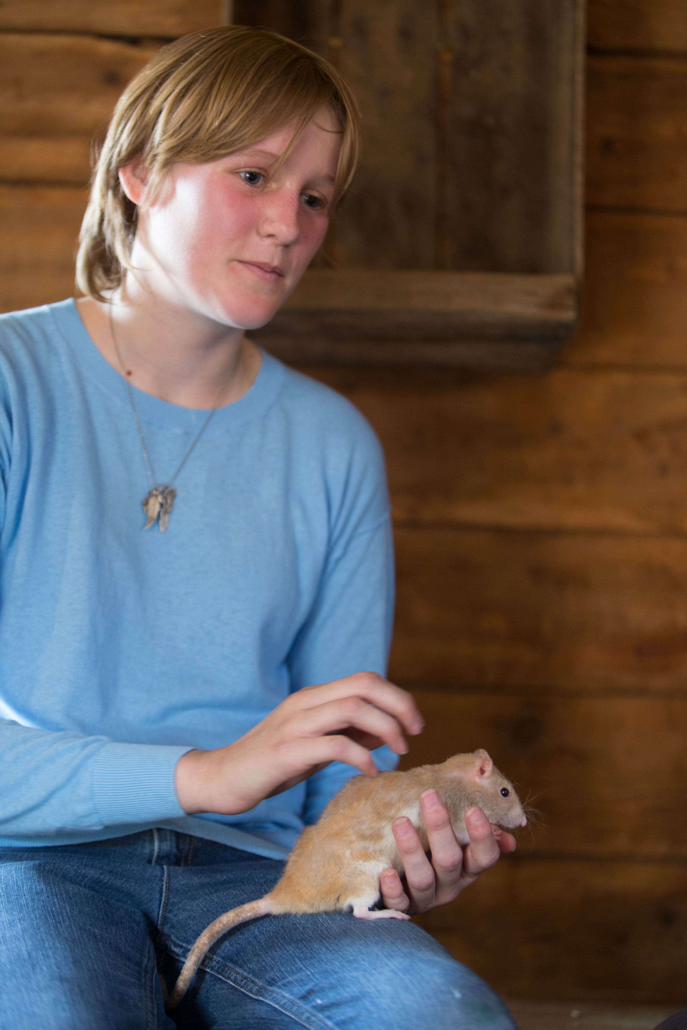 Canon Canon EOS-1D X EF70-200mm f/2.8L IS USM 70 mm 1/60 sec at f / 2.8 ISO 1600