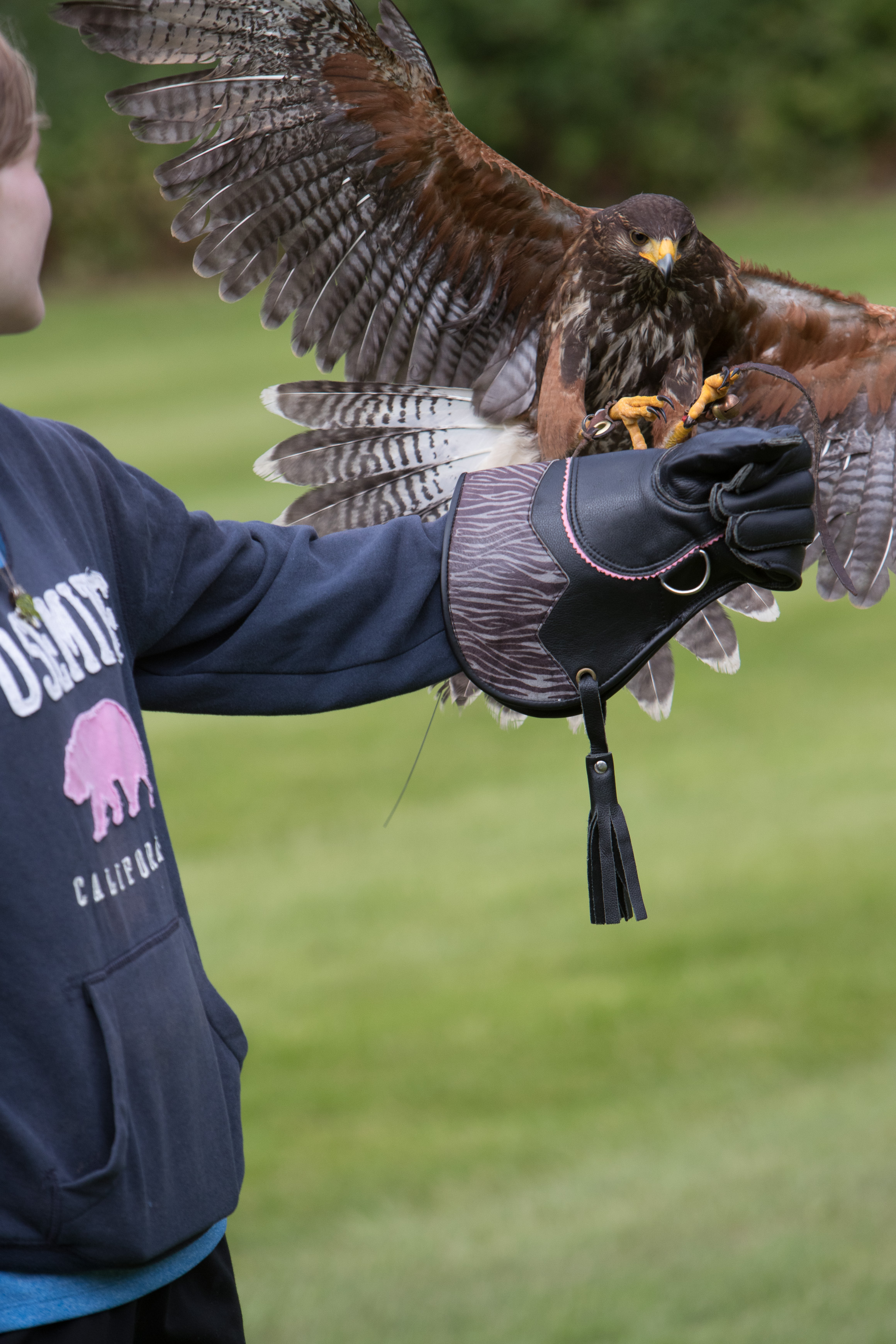 Canon Canon EOS-1D X Mark II EF70-200mm f/2.8L IS USM 200 mm 1/2000 sec at f / 5.6 ISO 800