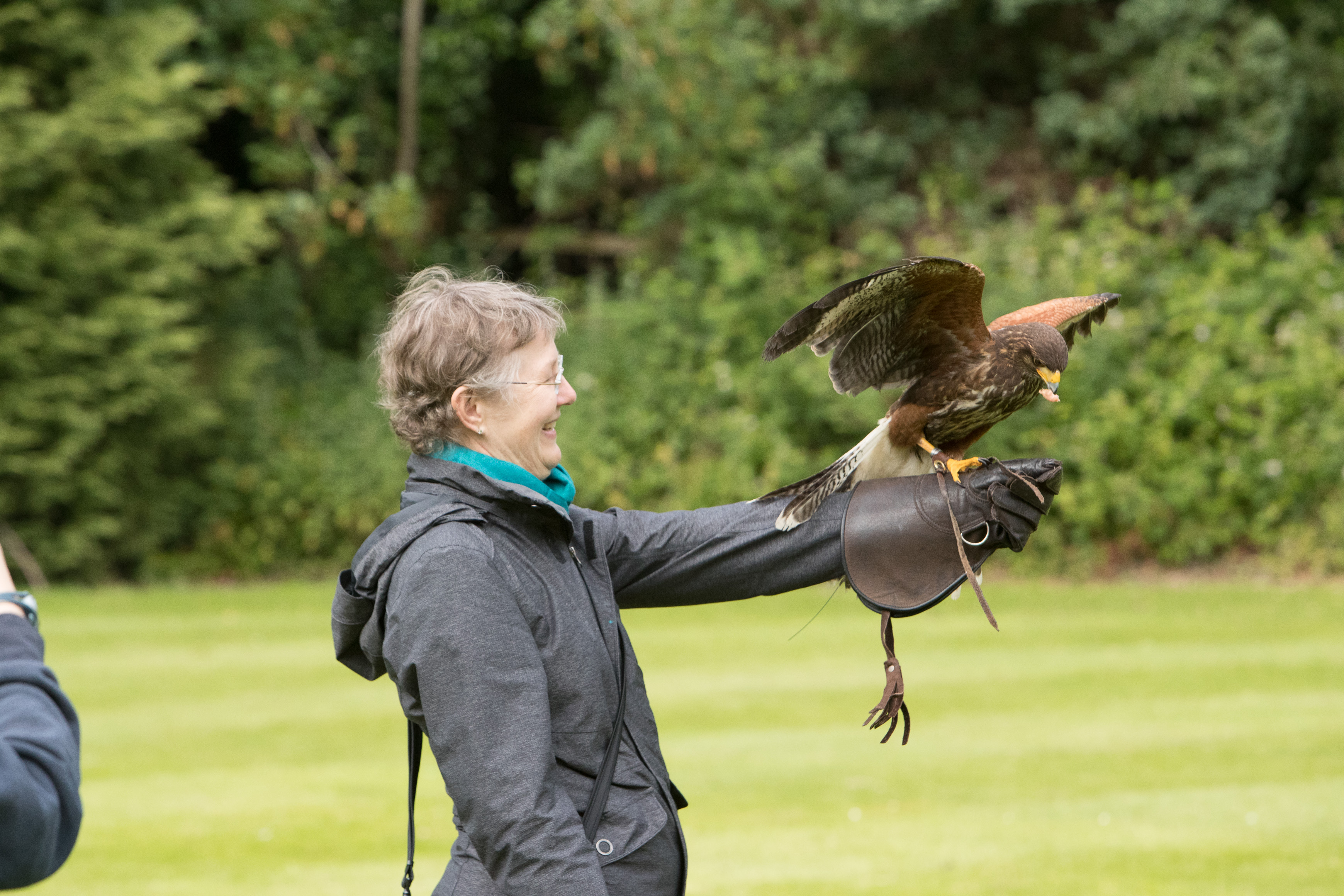 Canon Canon EOS-1D X Mark II EF70-200mm f/2.8L IS USM 148 mm 1/2000 sec at f / 7.1 ISO 2500