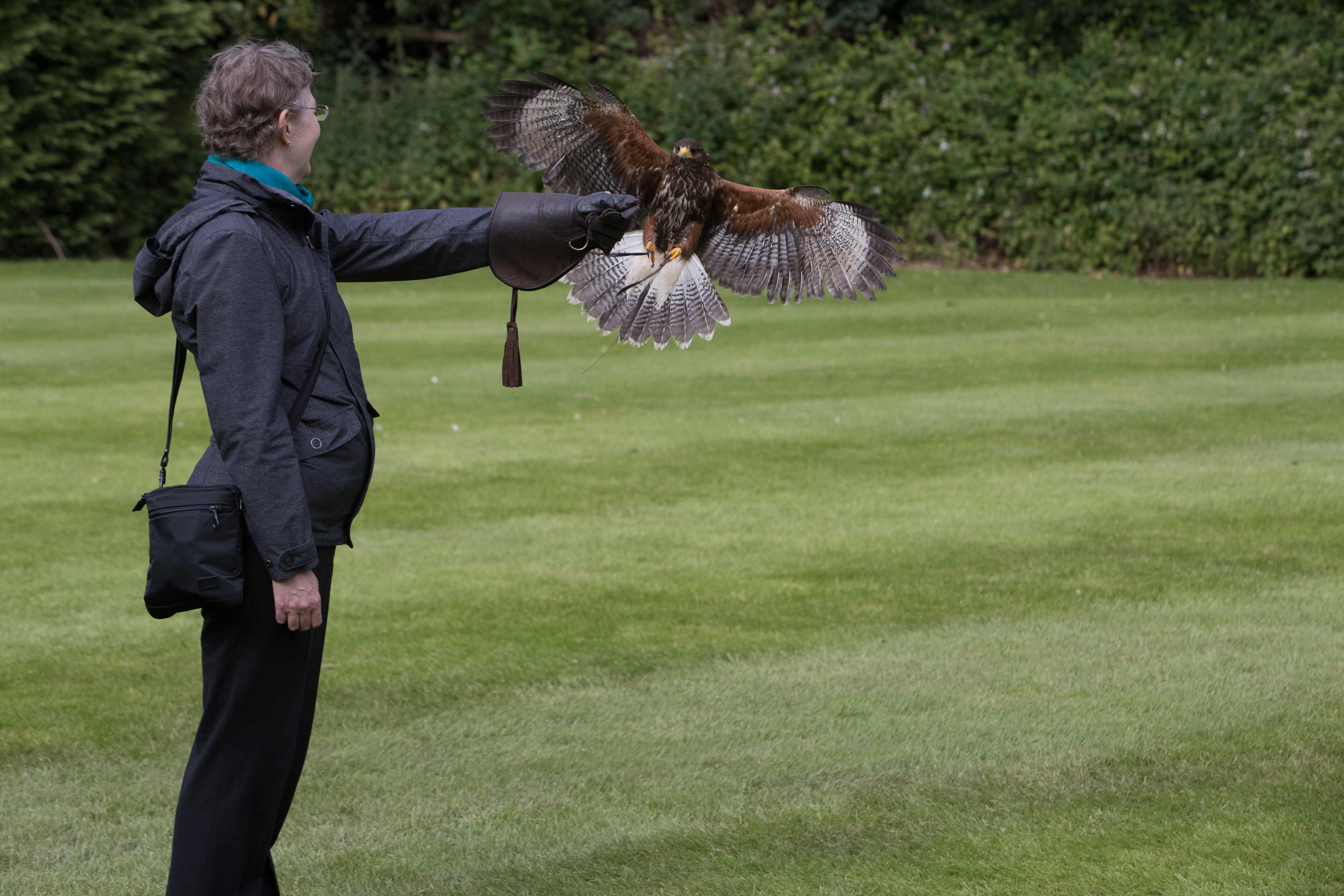 Canon Canon EOS-1D X Mark II EF70-200mm f/2.8L IS USM 120 mm 1/2000 sec at f / 7.1 ISO 800