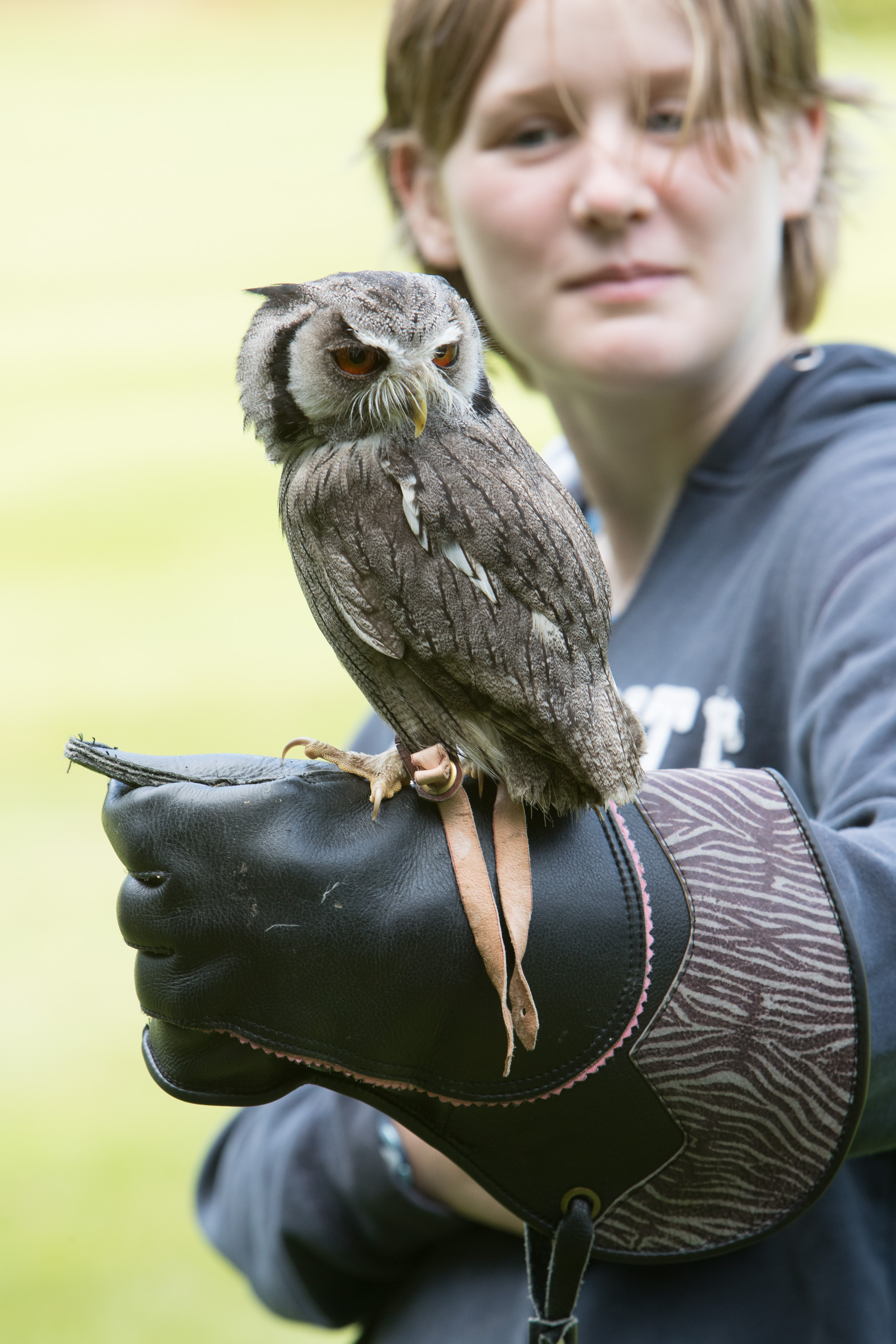 Canon Canon EOS-1D X Mark II EF70-200mm f/2.8L IS USM 200 mm 1/320 sec at f / 8.0 ISO 1000