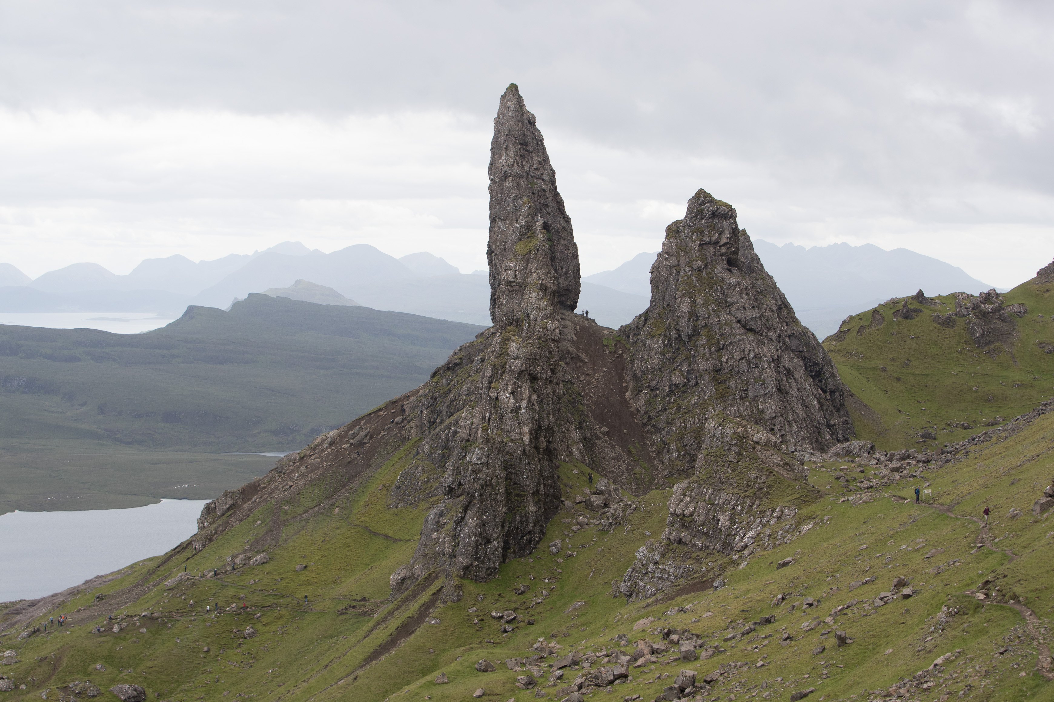 Canon Canon EOS-1D X Mark II EF70-200mm f/2.8L IS USM 70 mm 1/500 sec at f / 8.0 ISO 400