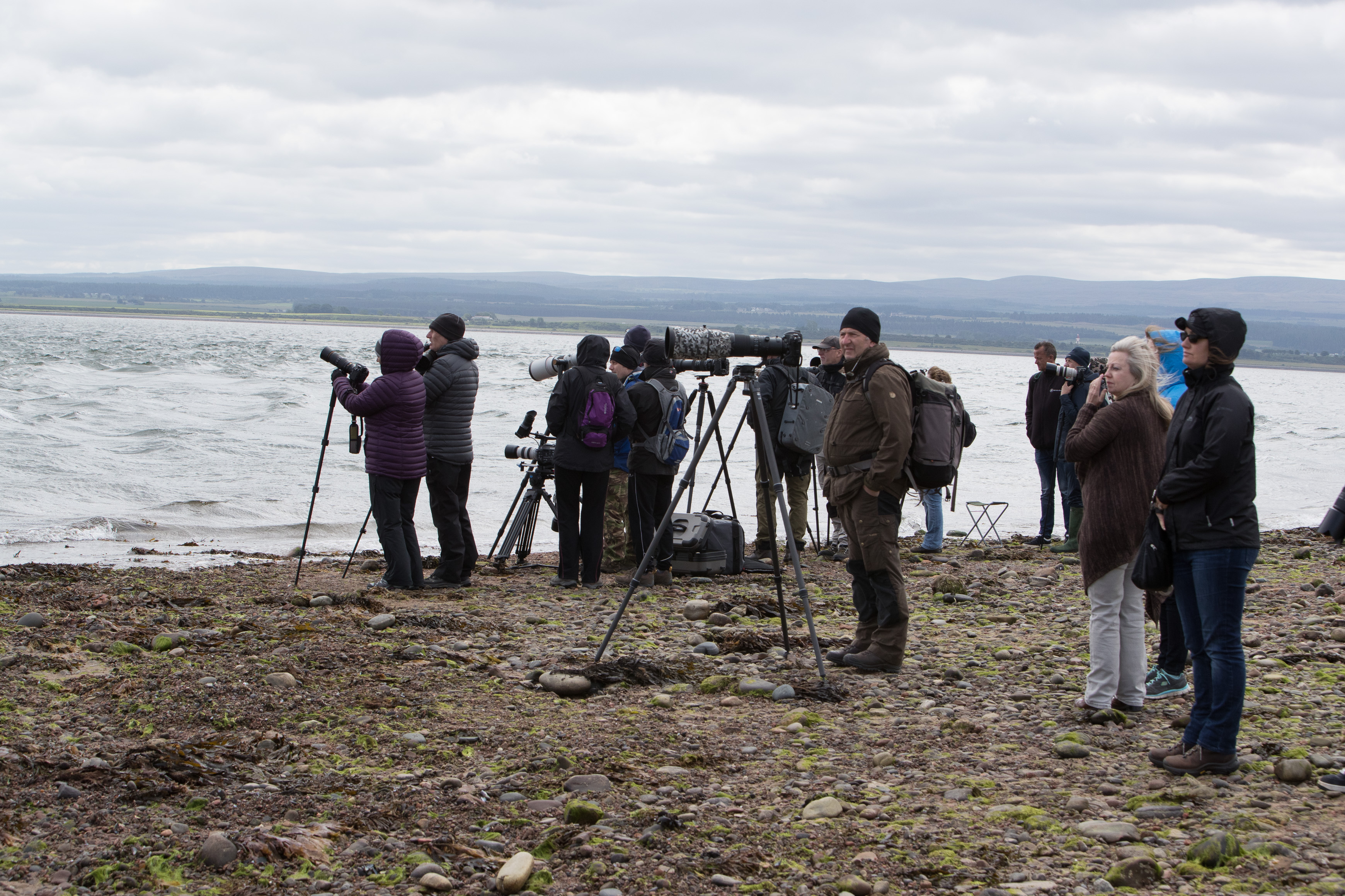 Canon Canon EOS-1D X Mark II EF70-200mm f/2.8L IS USM 73 mm 1/1000 sec at f / 10 ISO 800