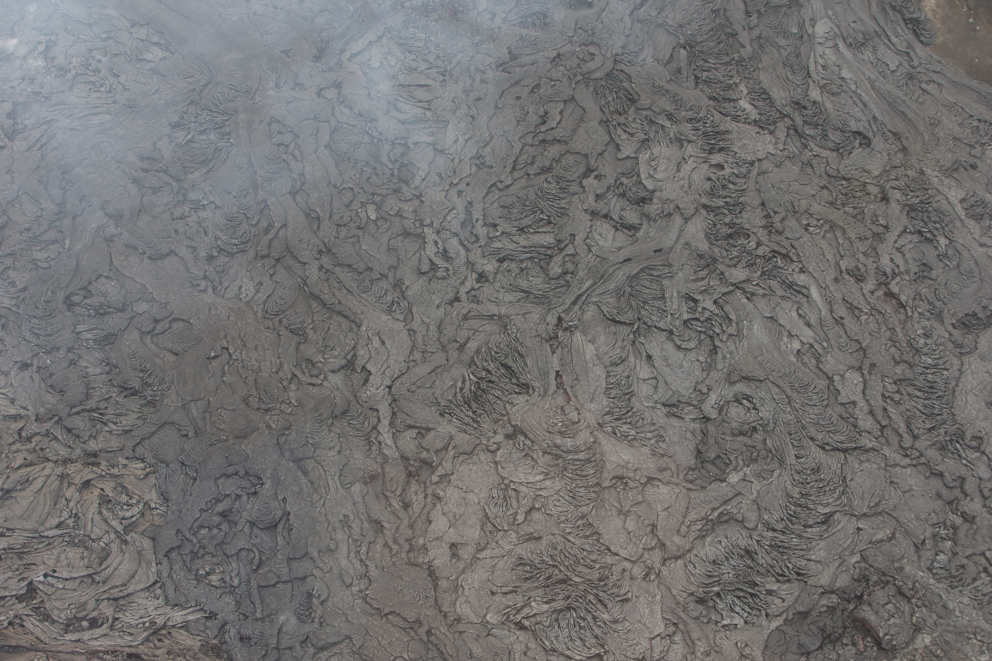 Canon Canon EOS-1D X EF70-200mm f/2.8L IS USM 70 mm 1/400 sec at f / 7.1 ISO 800