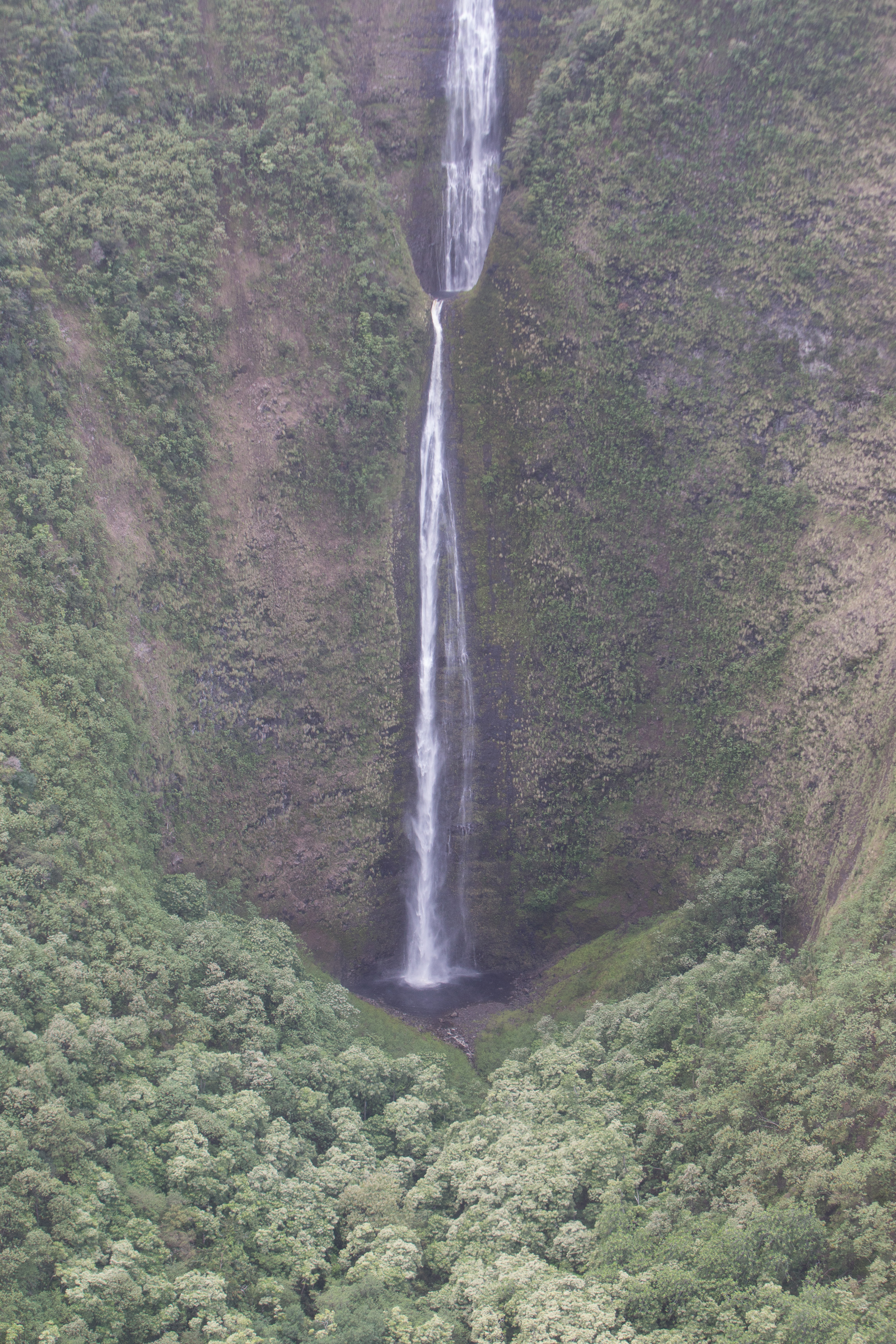 Canon Canon EOS-1D X EF70-200mm f/2.8L IS USM 70 mm 1/320 sec at f / 6.3 ISO 800