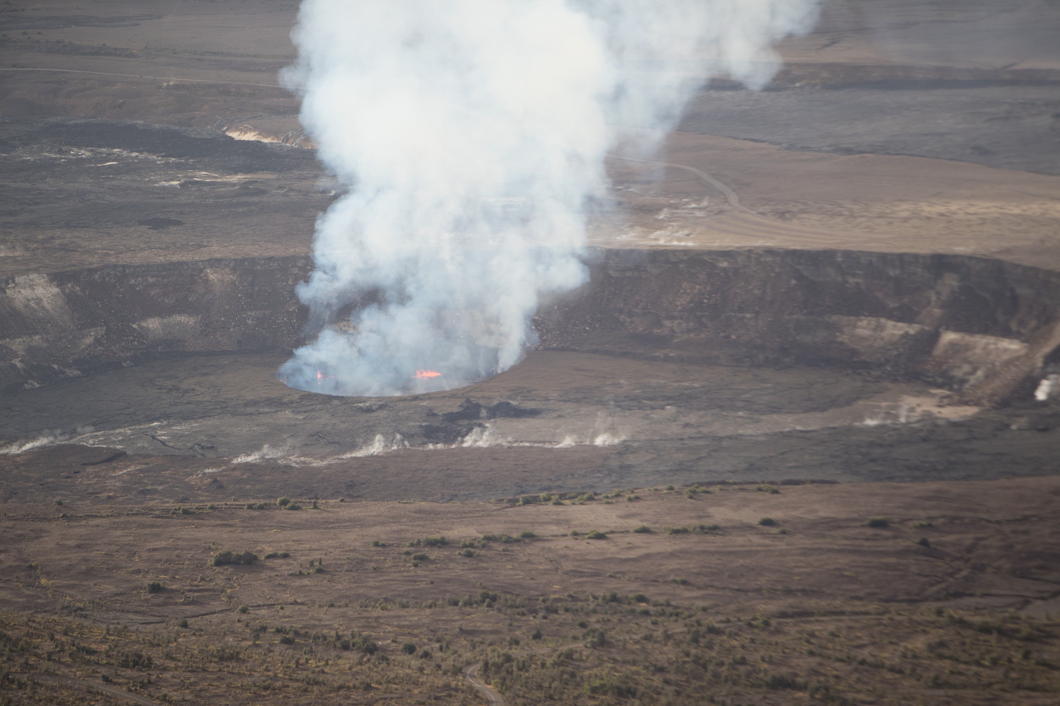 Canon Canon EOS-1D X Mark II EF70-200mm f/2.8L IS USM 200 mm 1/1600 sec at f / 2.8 ISO 500