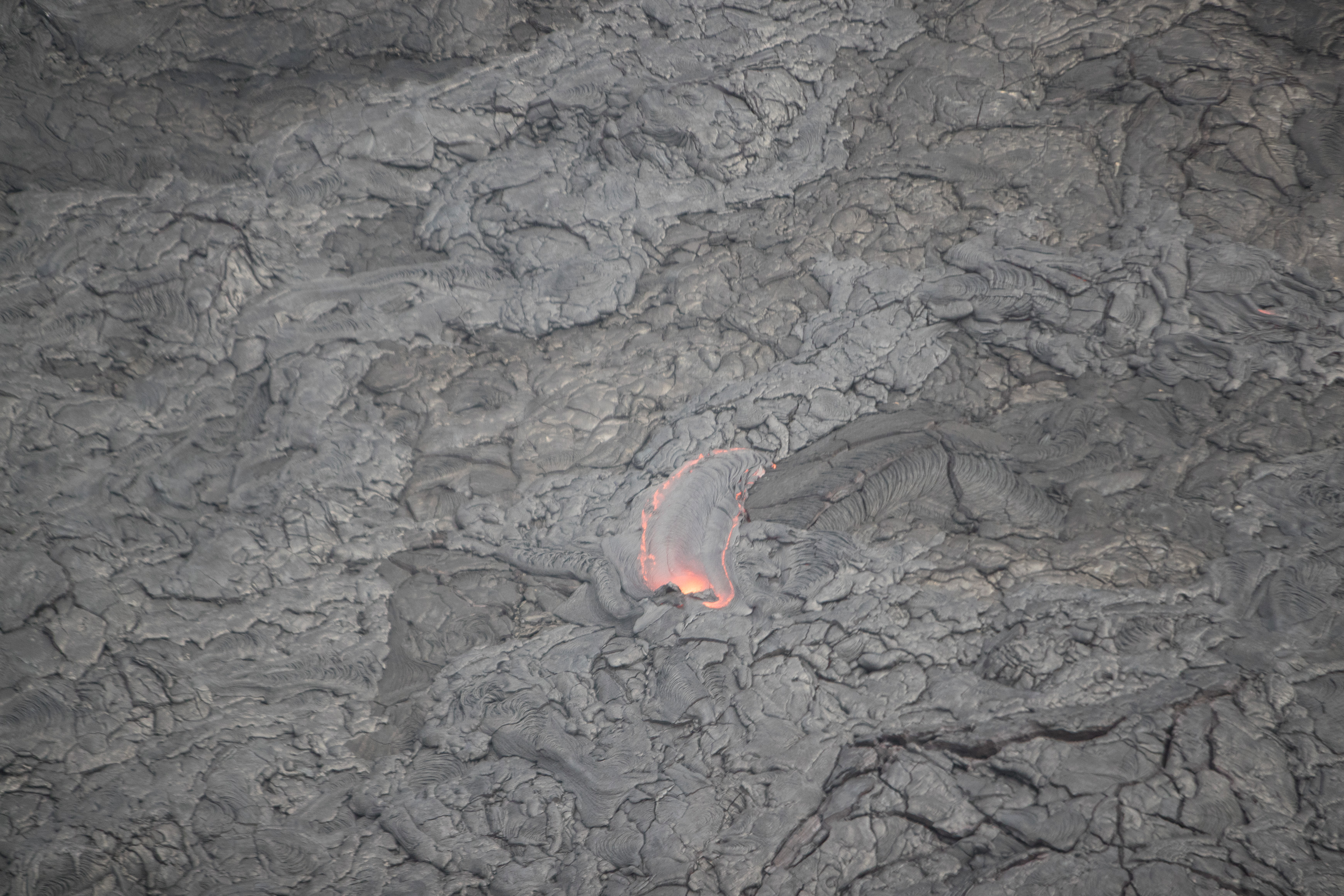 Canon Canon EOS-1D X Mark II EF70-200mm f/2.8L IS USM 200 mm 1/1600 sec at f / 2.8 ISO 1250