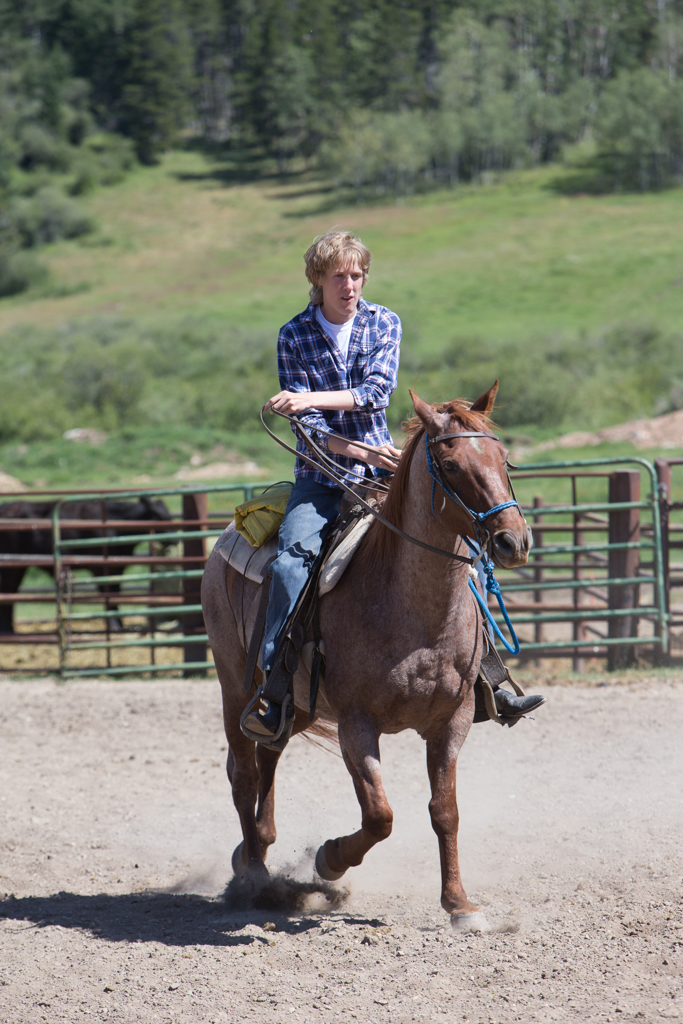 Canon Canon EOS-1D X EF70-200mm f/2.8L IS USM 200 mm 1/800 sec at f / 6.3 ISO 400