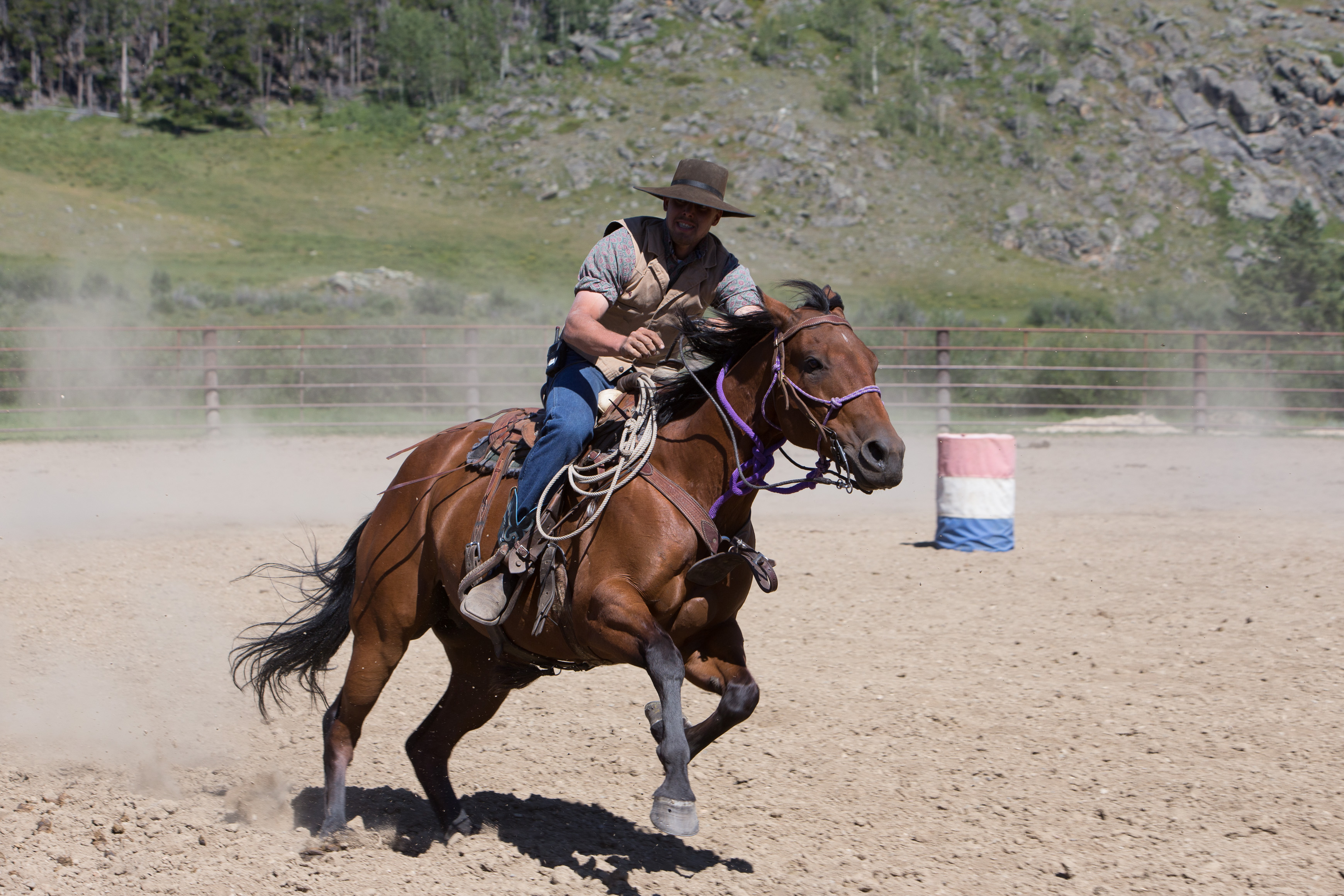 Canon Canon EOS-1D X EF70-200mm f/2.8L IS USM 120 mm 1/800 sec at f / 8.0 ISO 400