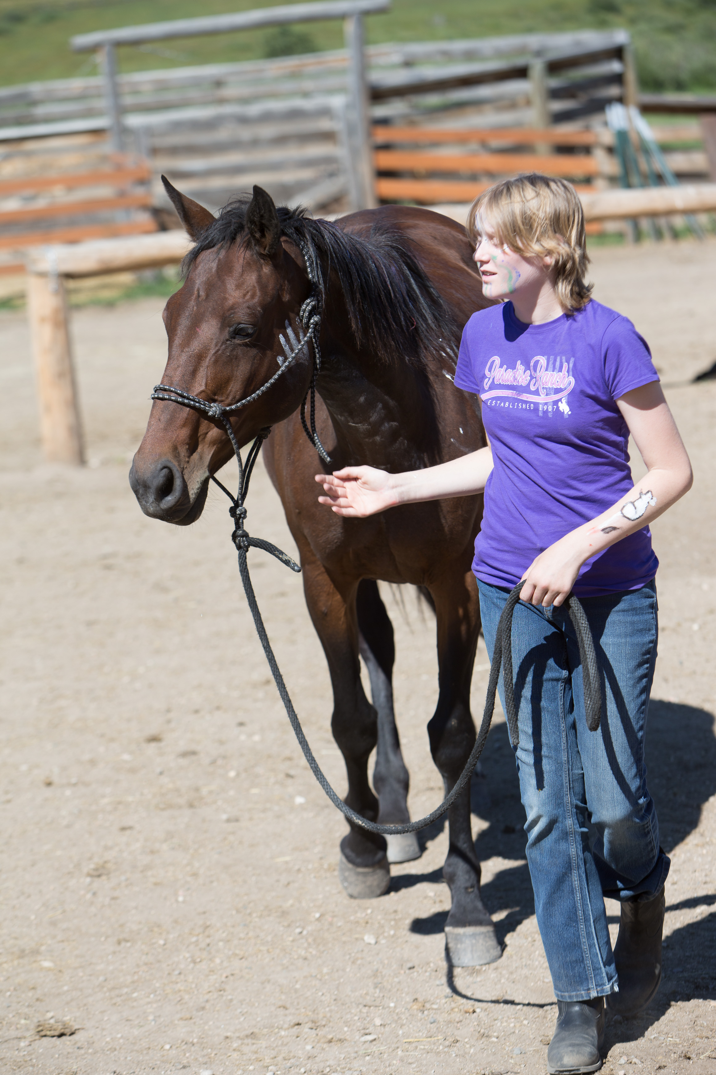 Canon Canon EOS-1D X EF70-200mm f/2.8L IS USM 130 mm 1/400 sec at f / 5.0 ISO 100