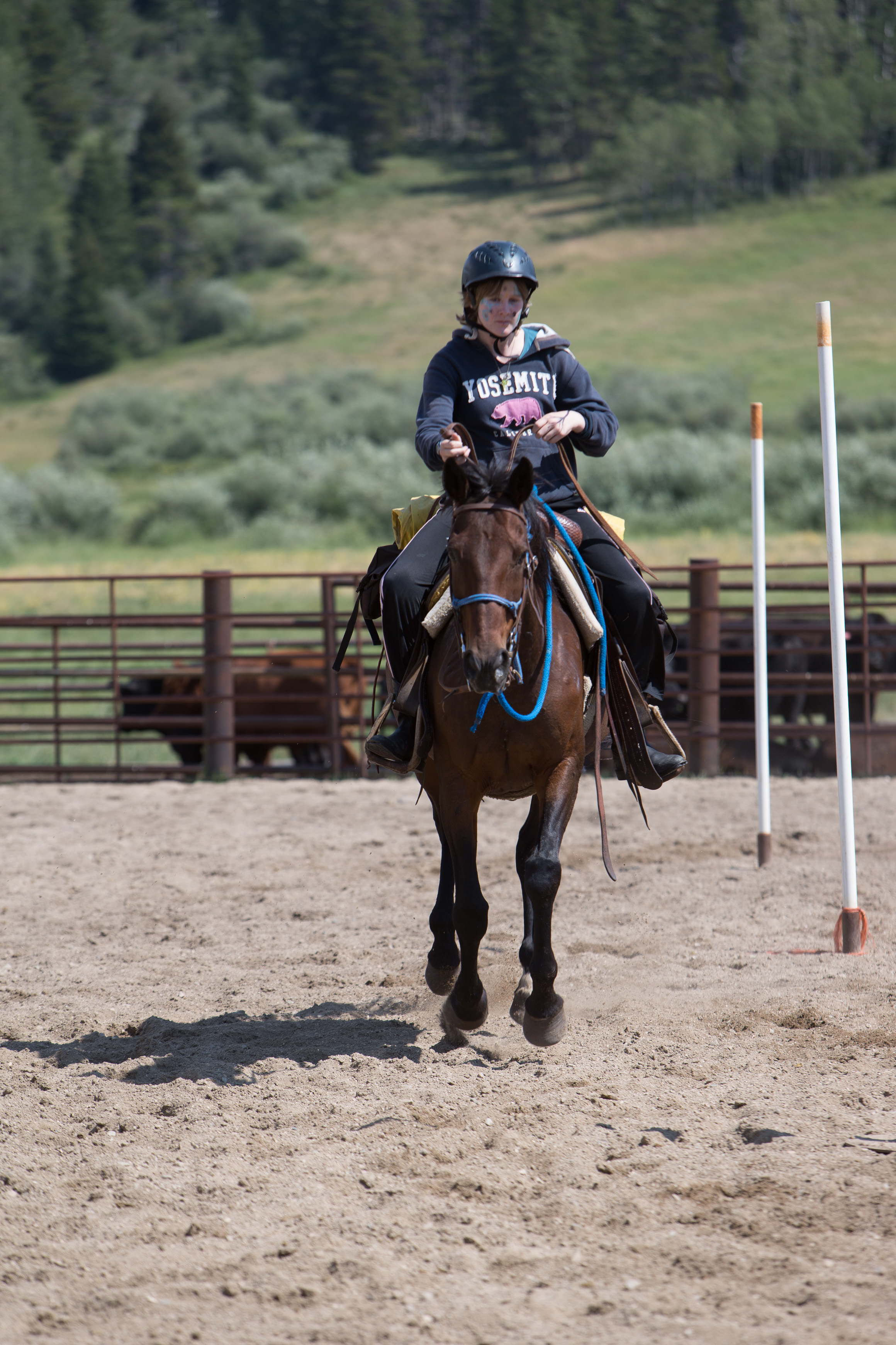 Canon Canon EOS-1D X EF70-200mm f/2.8L IS USM 200 mm 1/500 sec at f / 5.0 ISO 100