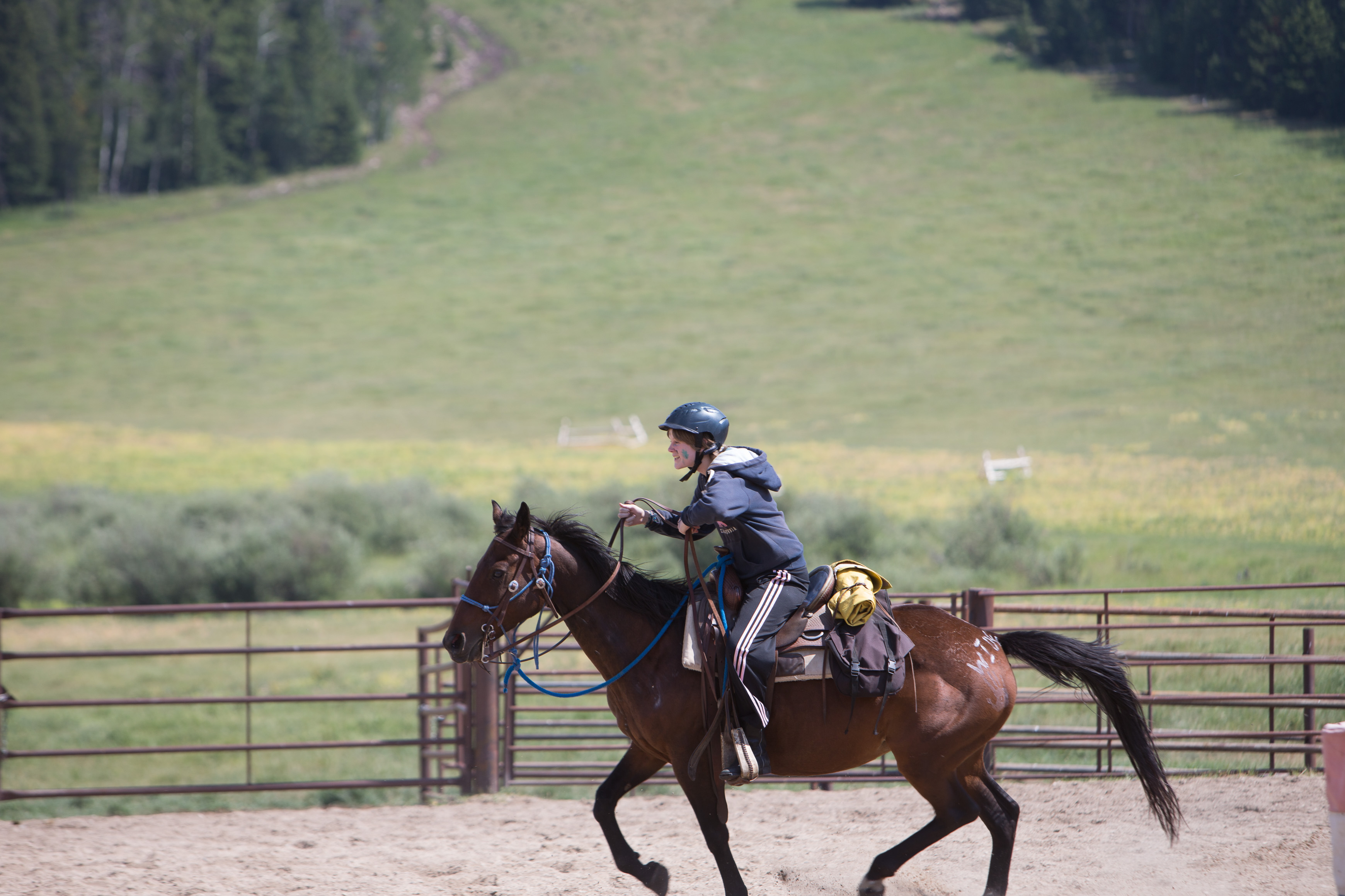 Canon Canon EOS-1D X EF70-200mm f/2.8L IS USM 200 mm 1/400 sec at f / 4.5 ISO 100