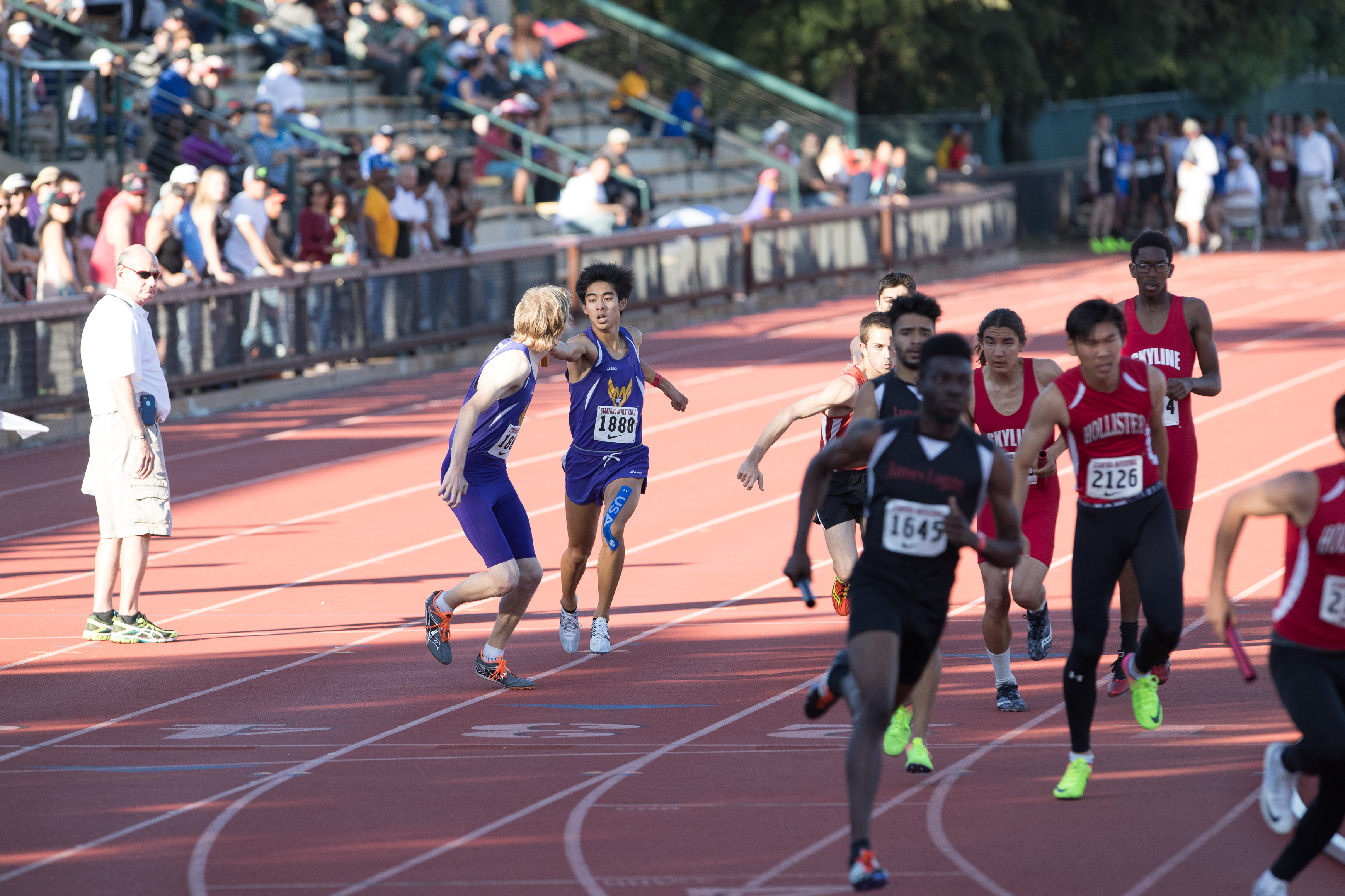 Canon Canon EOS-1D X Mark II EF300mm f/2.8L IS USM 300 mm 1/2000 sec at f / 4.5 ISO 1000