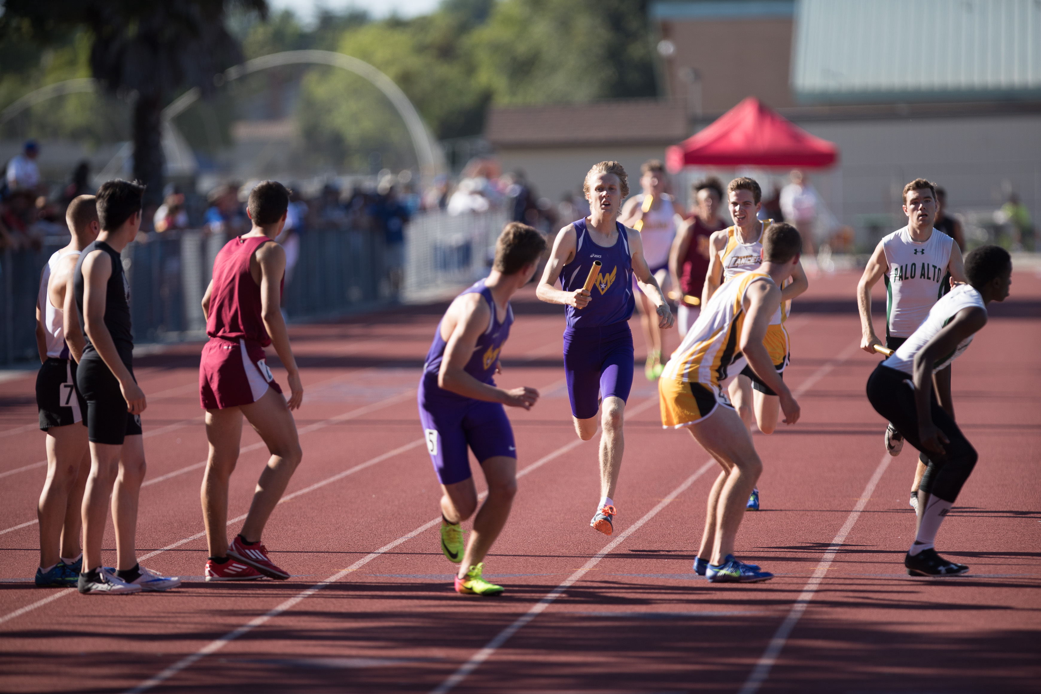 Canon Canon EOS-1D X Mark II EF300mm f/2.8L IS USM 300 mm 1/2500 sec at f / 2.8 ISO 250