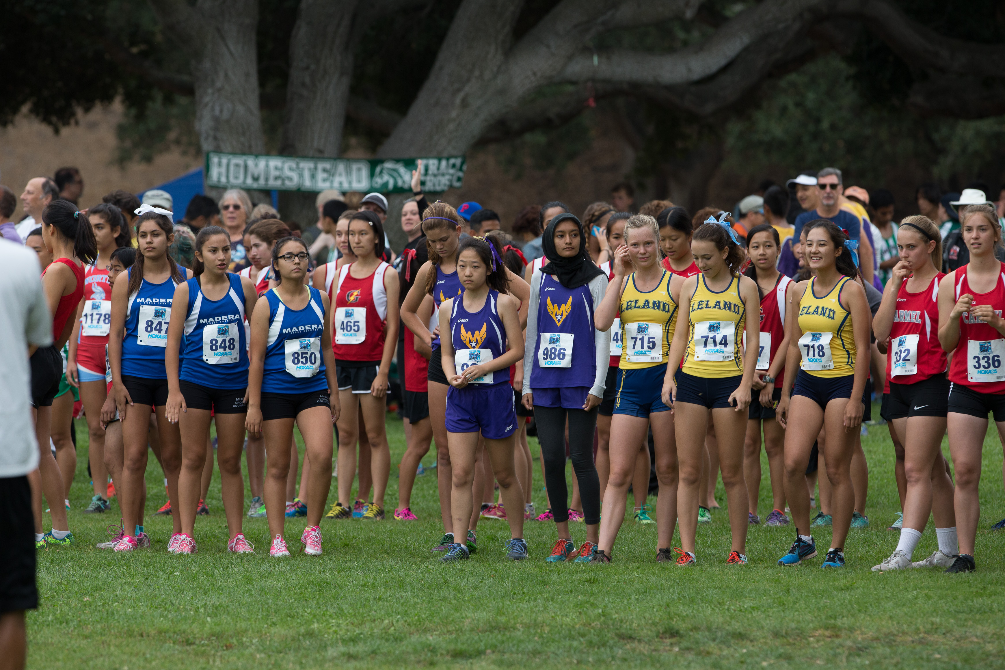 Canon Canon EOS-1D X EF300mm f/2.8L IS USM 300 mm 1/1250 sec at f / 5.6 ISO 800