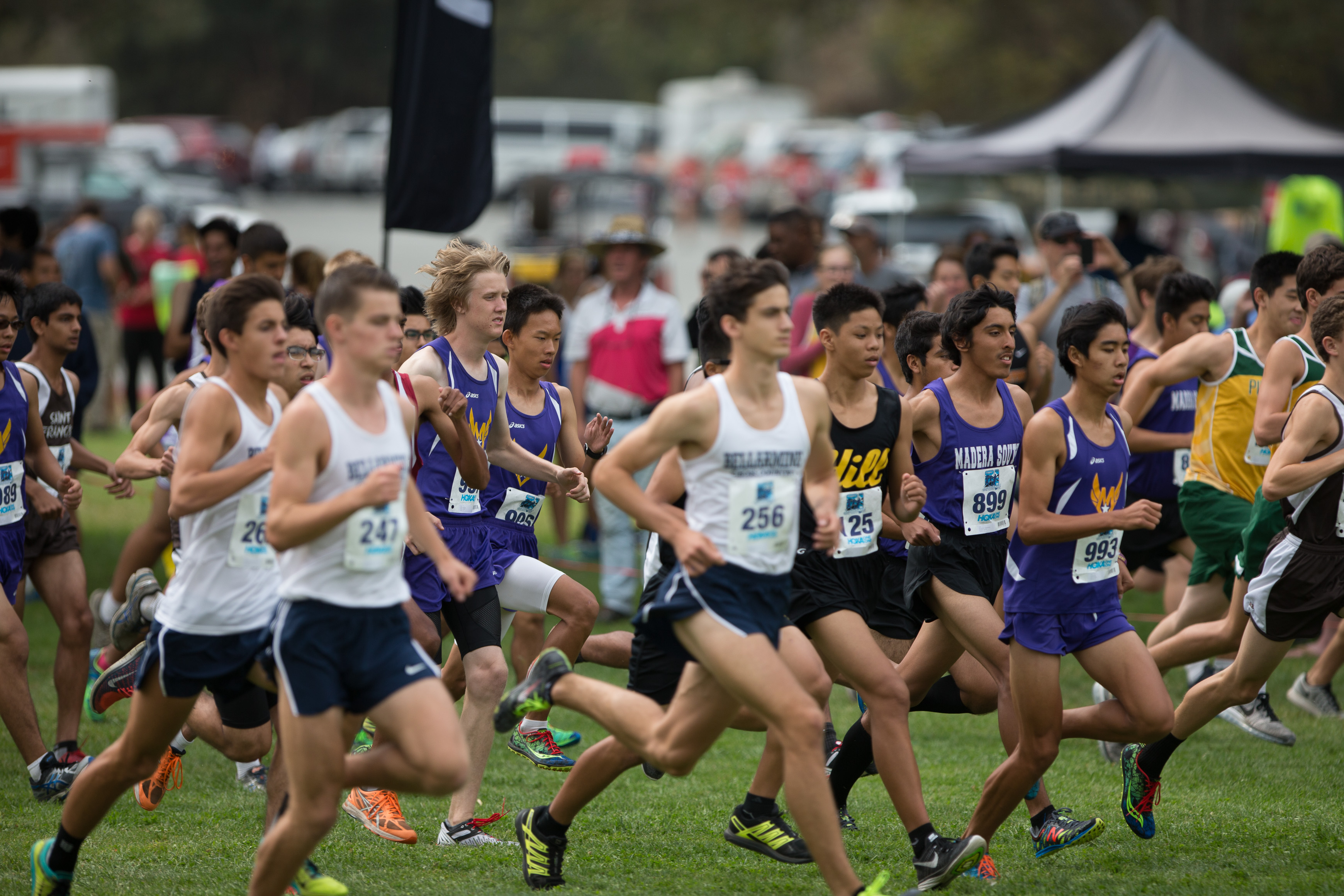 Canon Canon EOS-1D X EF300mm f/2.8L IS USM 300 mm 1/2000 sec at f / 2.8 ISO 250