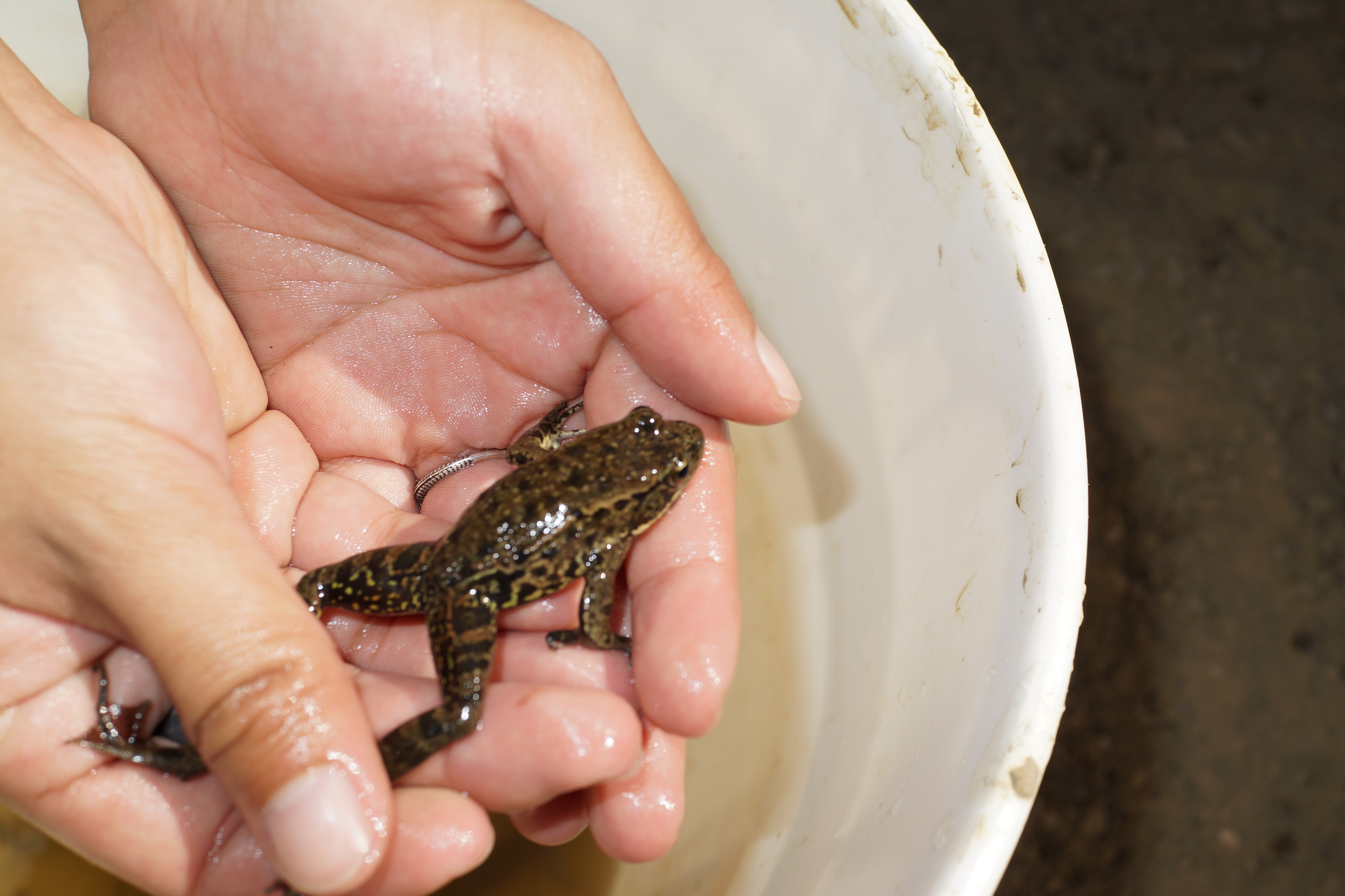 SONY DSC-RX1 35.0 mm f/2.0 35 mm 1/500 sec at f / 8.0 ISO 100