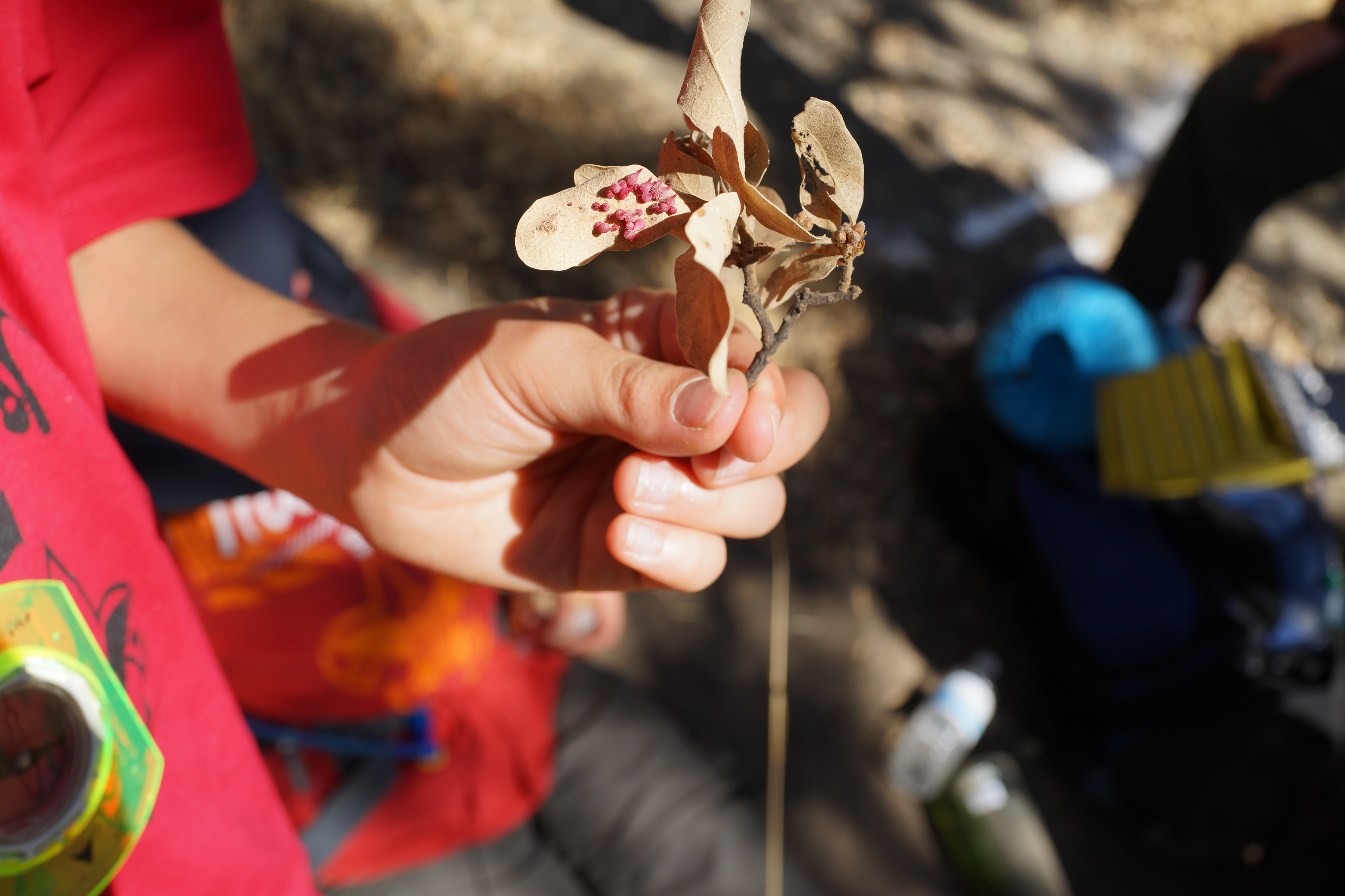 SONY DSC-RX1 35.0 mm f/2.0 35 mm 1/200 sec at f / 8.0 ISO 100