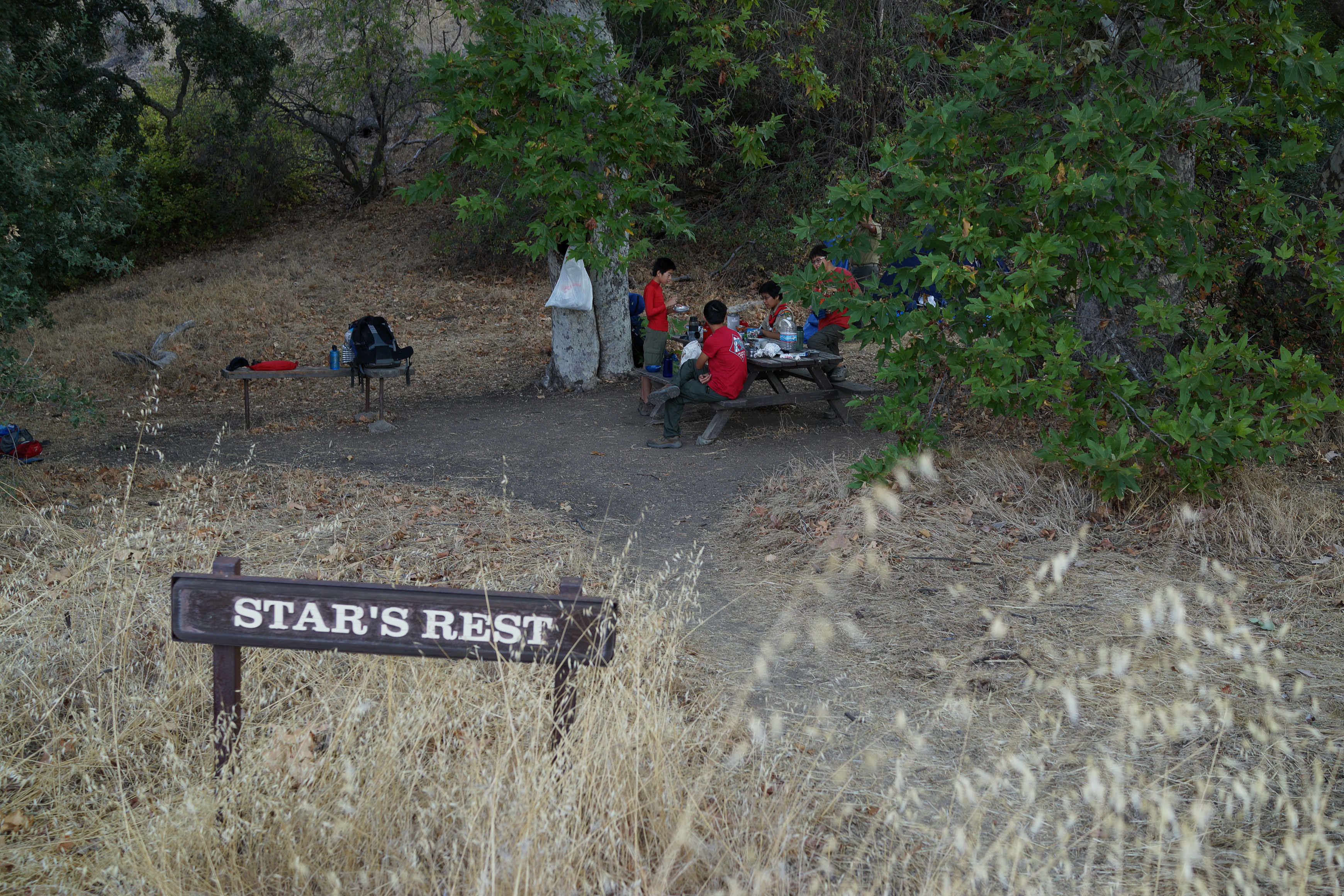 SONY DSC-RX1 35.0 mm f/2.0 35 mm 1/80 sec at f / 4.0 ISO 100