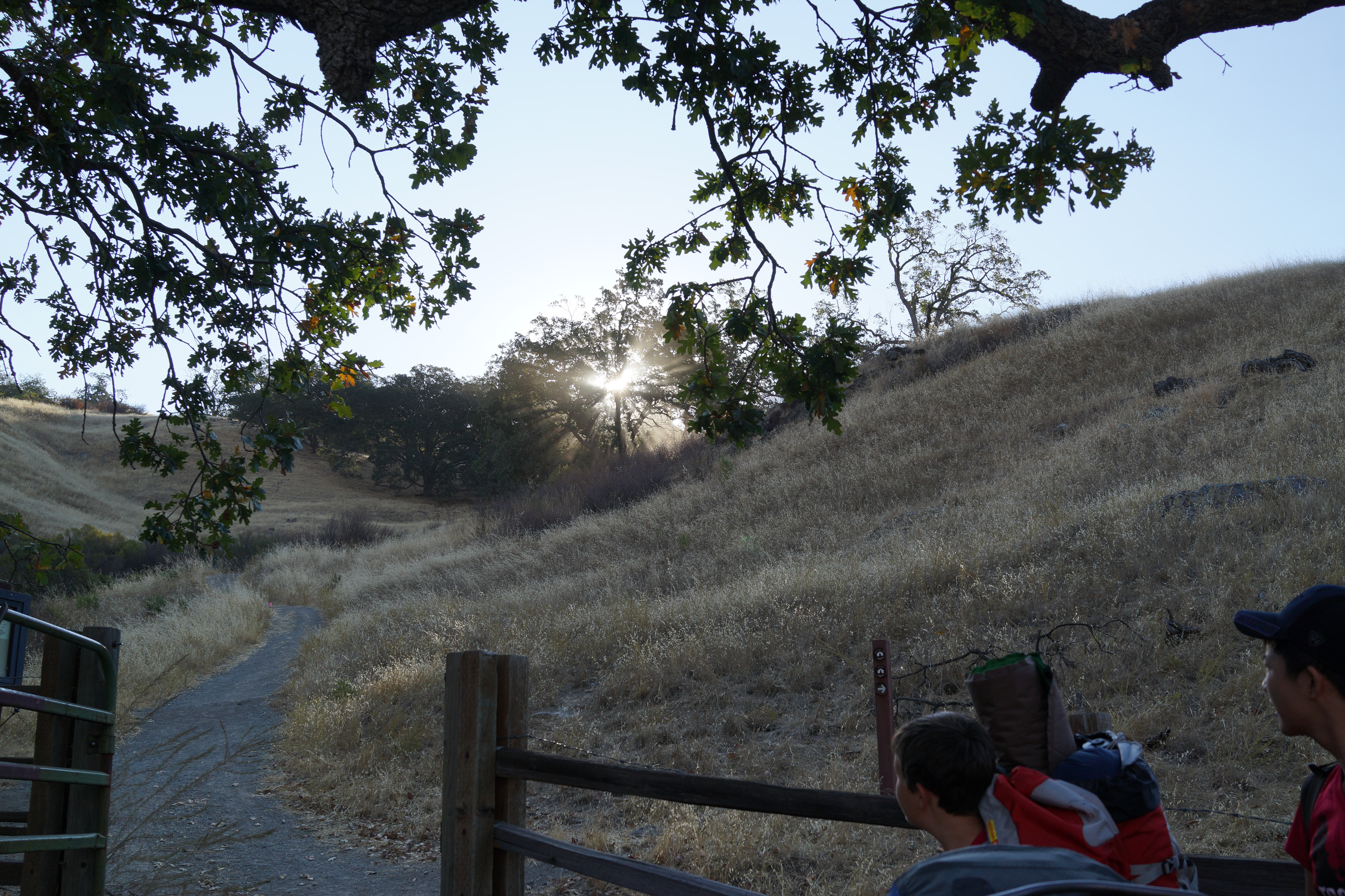 SONY DSC-RX1 35.0 mm f/2.0 35 mm 1/250 sec at f / 8.0 ISO 100