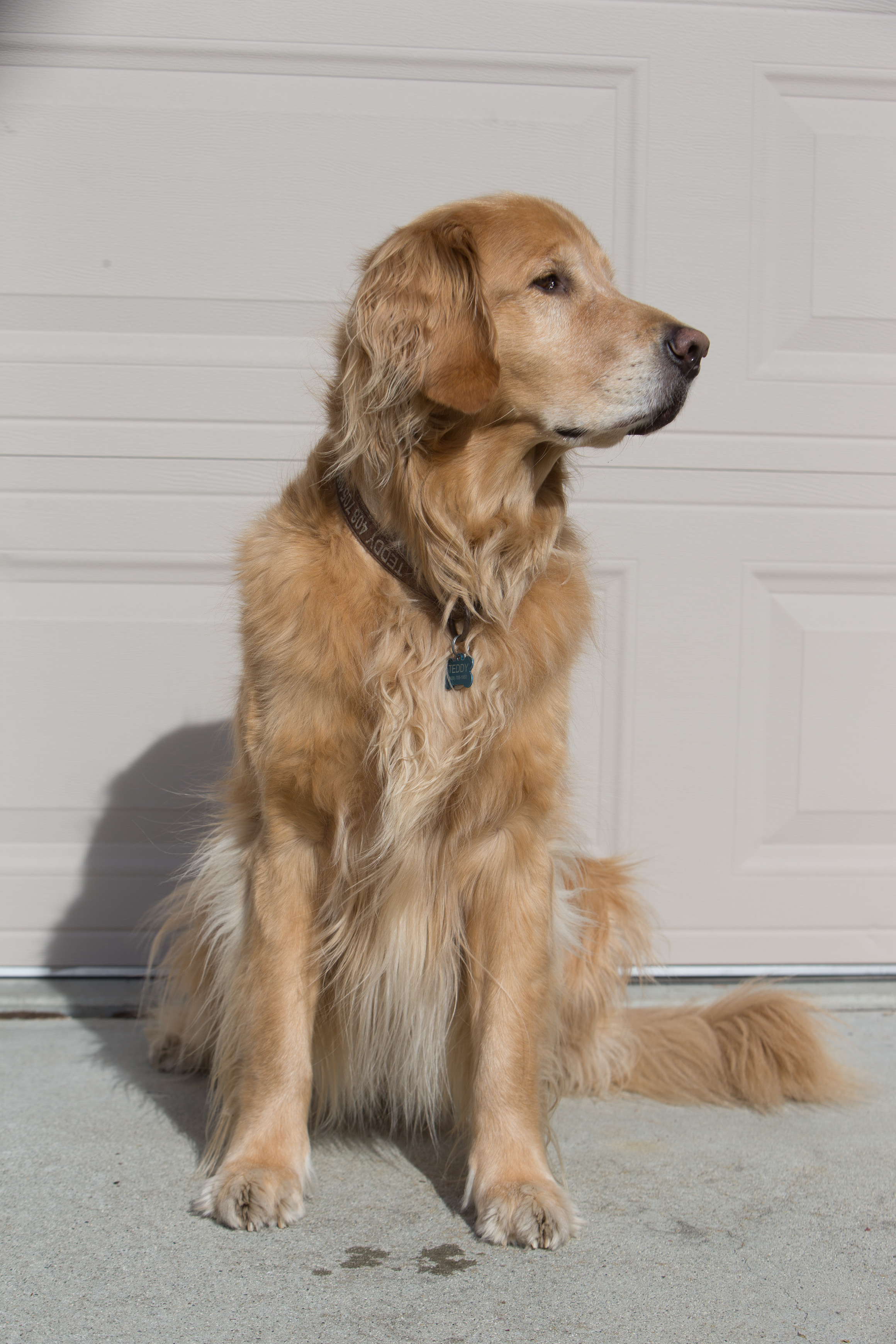 Canon Canon EOS-1D X EF70-200mm f/2.8L IS USM 75 mm 1/400 sec at f / 7.1 ISO 100