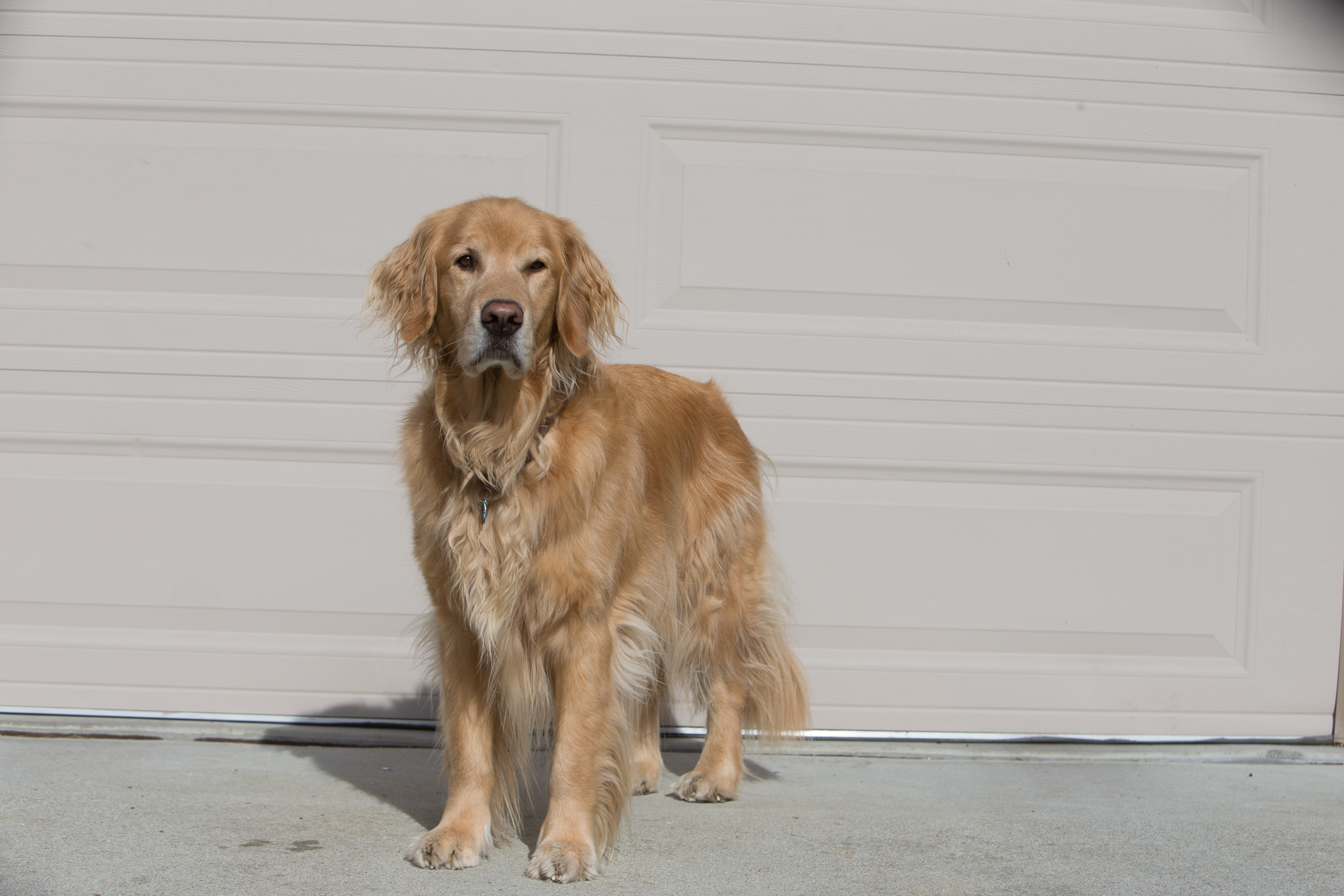 Canon Canon EOS-1D X EF70-200mm f/2.8L IS USM 70 mm 1/400 sec at f / 7.1 ISO 100