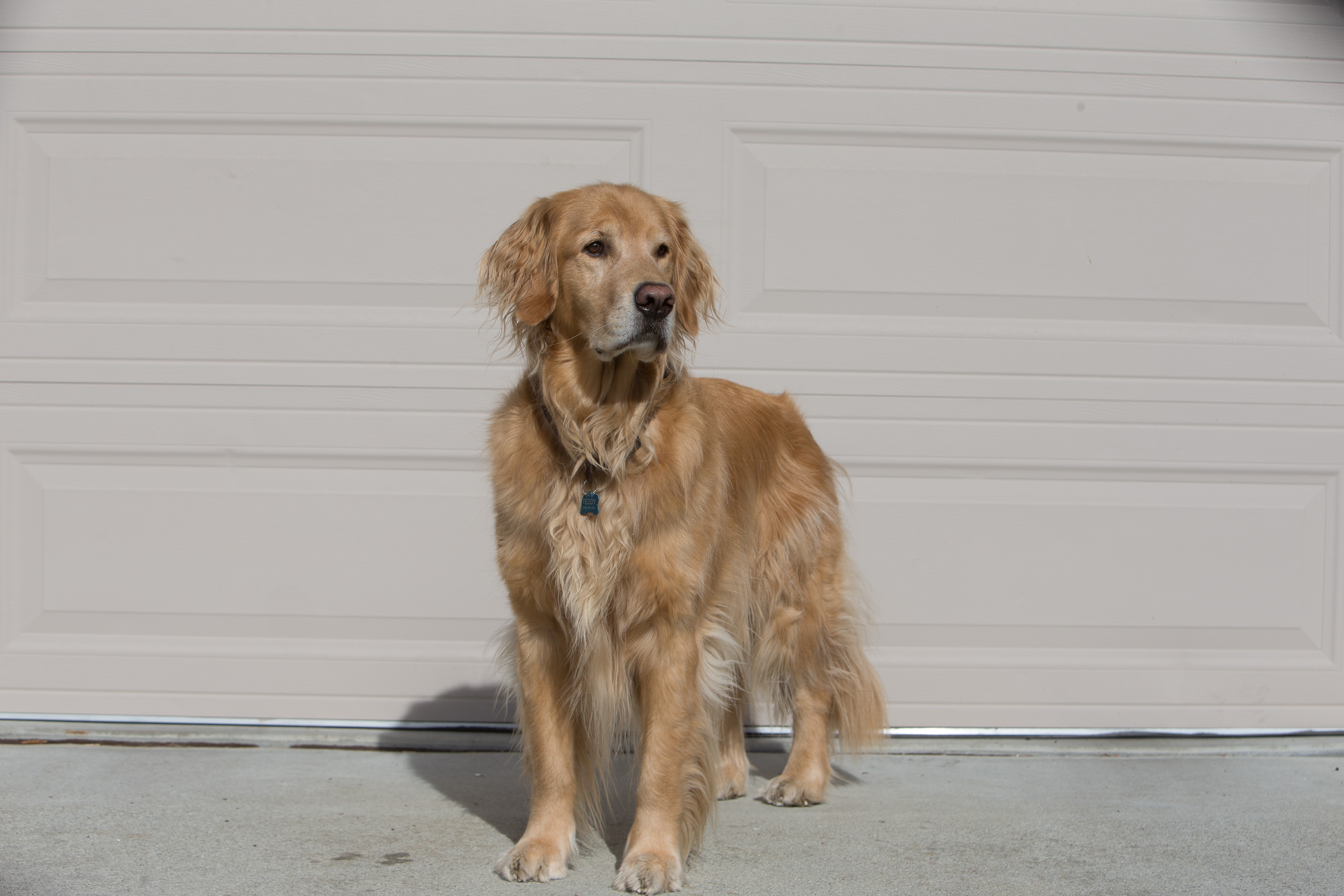 Canon Canon EOS-1D X EF70-200mm f/2.8L IS USM 70 mm 1/400 sec at f / 7.1 ISO 100