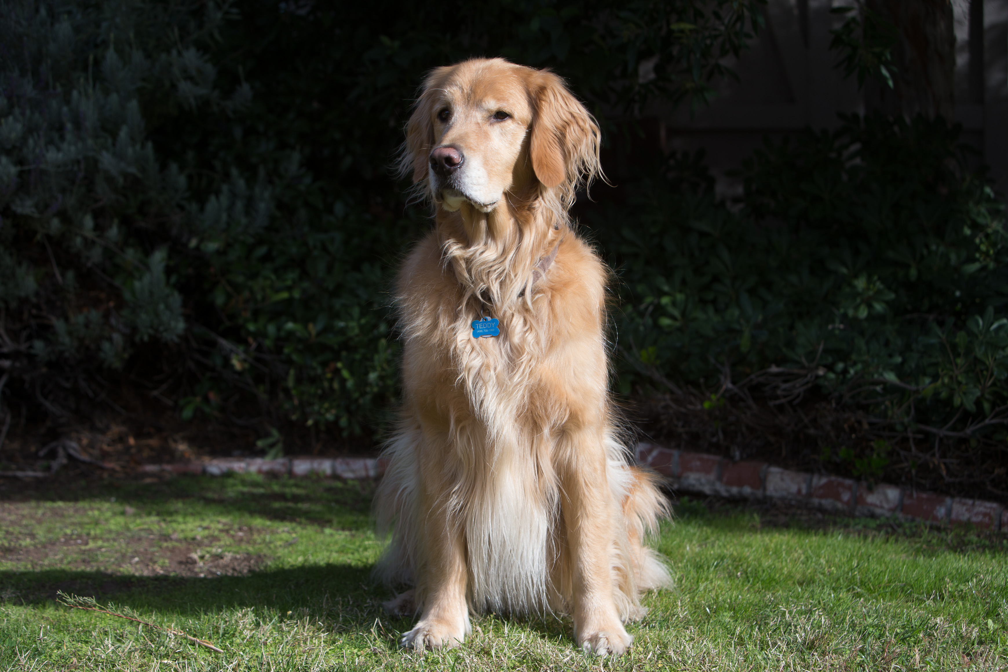 Canon Canon EOS-1D X EF70-200mm f/2.8L IS USM 70 mm 1/200 sec at f / 5.0 ISO 100