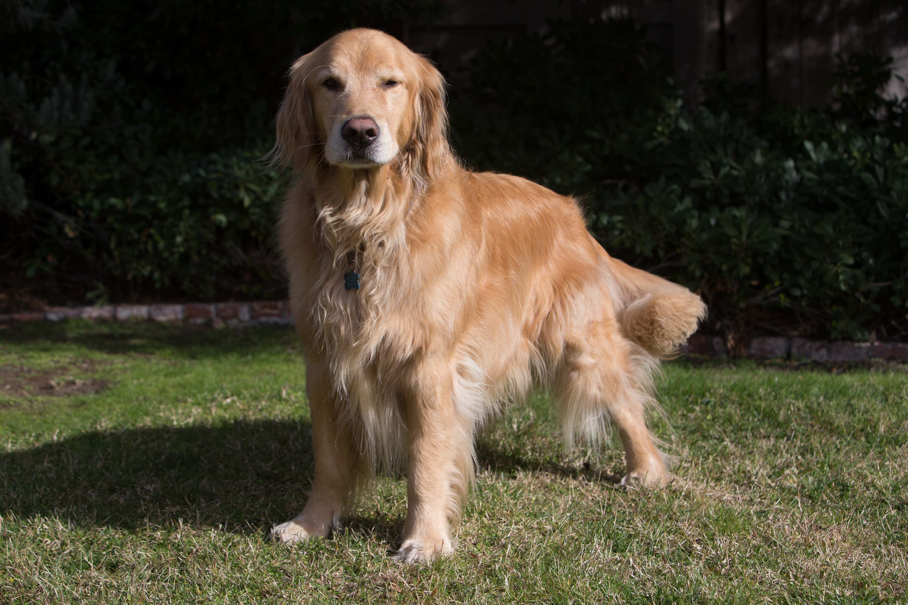 Canon Canon EOS-1D X EF70-200mm f/2.8L IS USM 70 mm 1/320 sec at f / 5.6 ISO 100