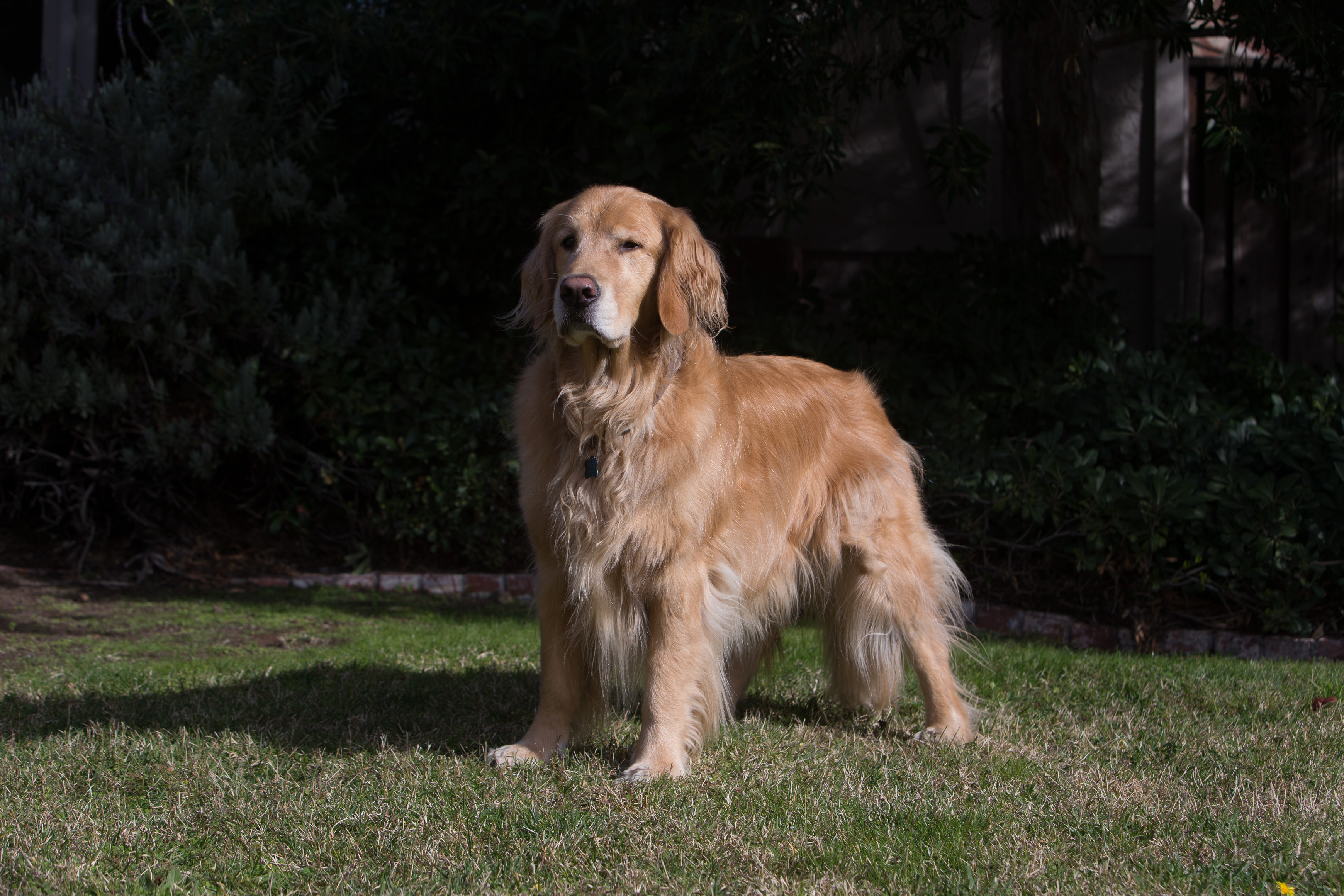 Canon Canon EOS-1D X EF70-200mm f/2.8L IS USM 70 mm 1/320 sec at f / 6.3 ISO 100