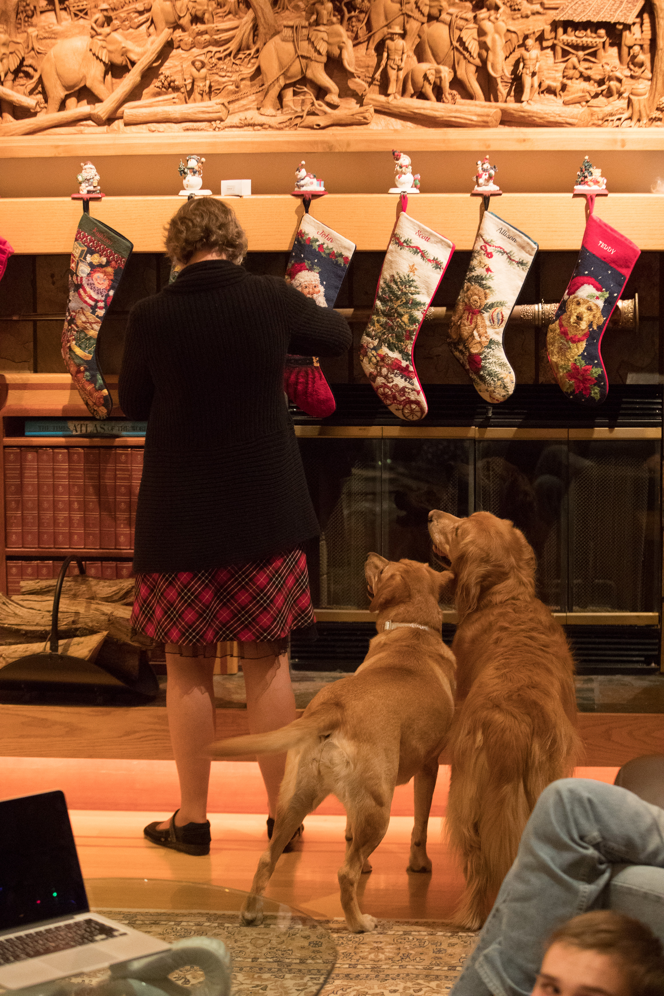 Canon Canon EOS-1D X Mark II EF70-200mm f/2.8L IS USM 78 mm 1/100 sec at f / 3.5 ISO 10000