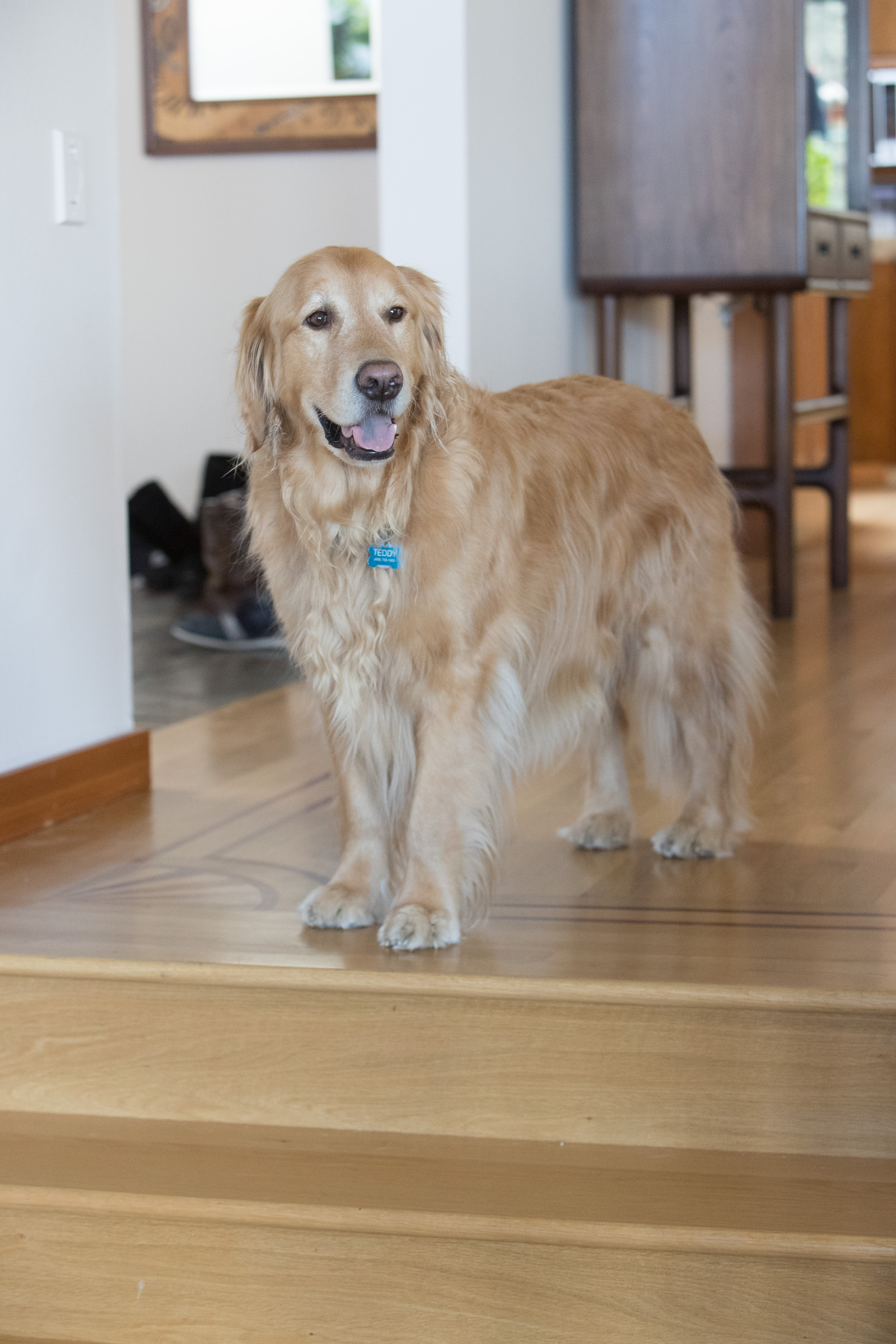 Canon Canon EOS-1D X Mark II EF70-200mm f/2.8L IS USM 80 mm 1/200 sec at f / 5.0 ISO 4000